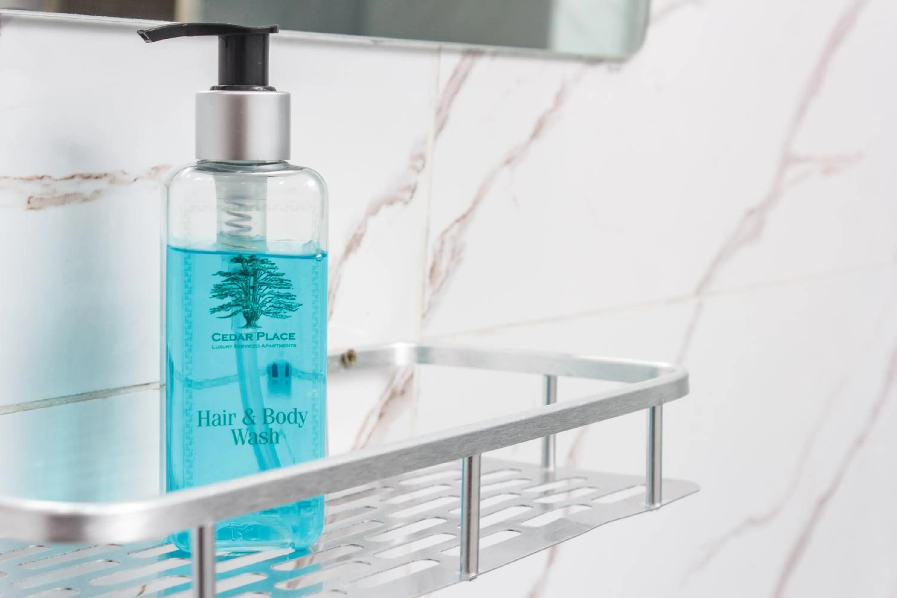 Bathroom in Cedar Place Limited