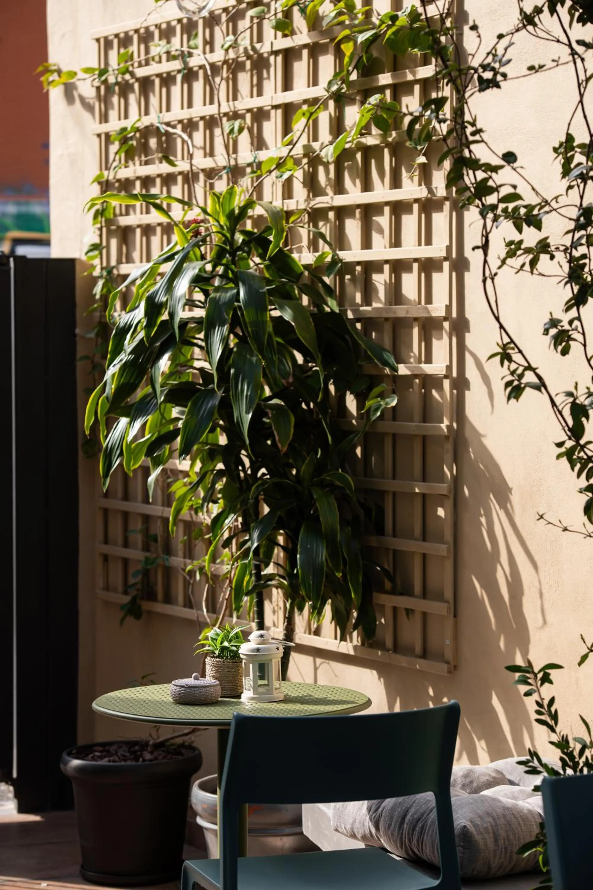 Patio in Living Yard Acropolis