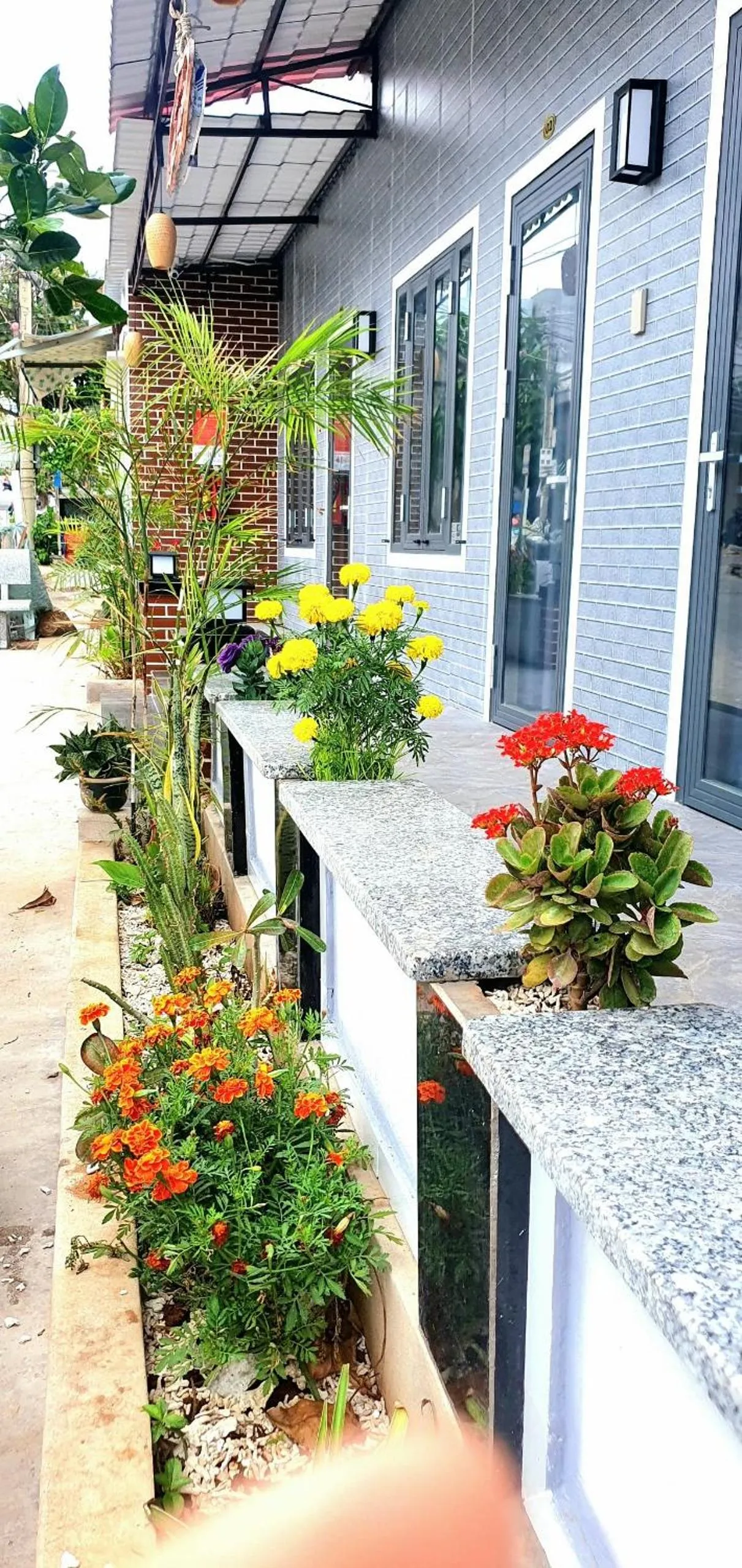 Property building in Homestay Quyên Quỳnh