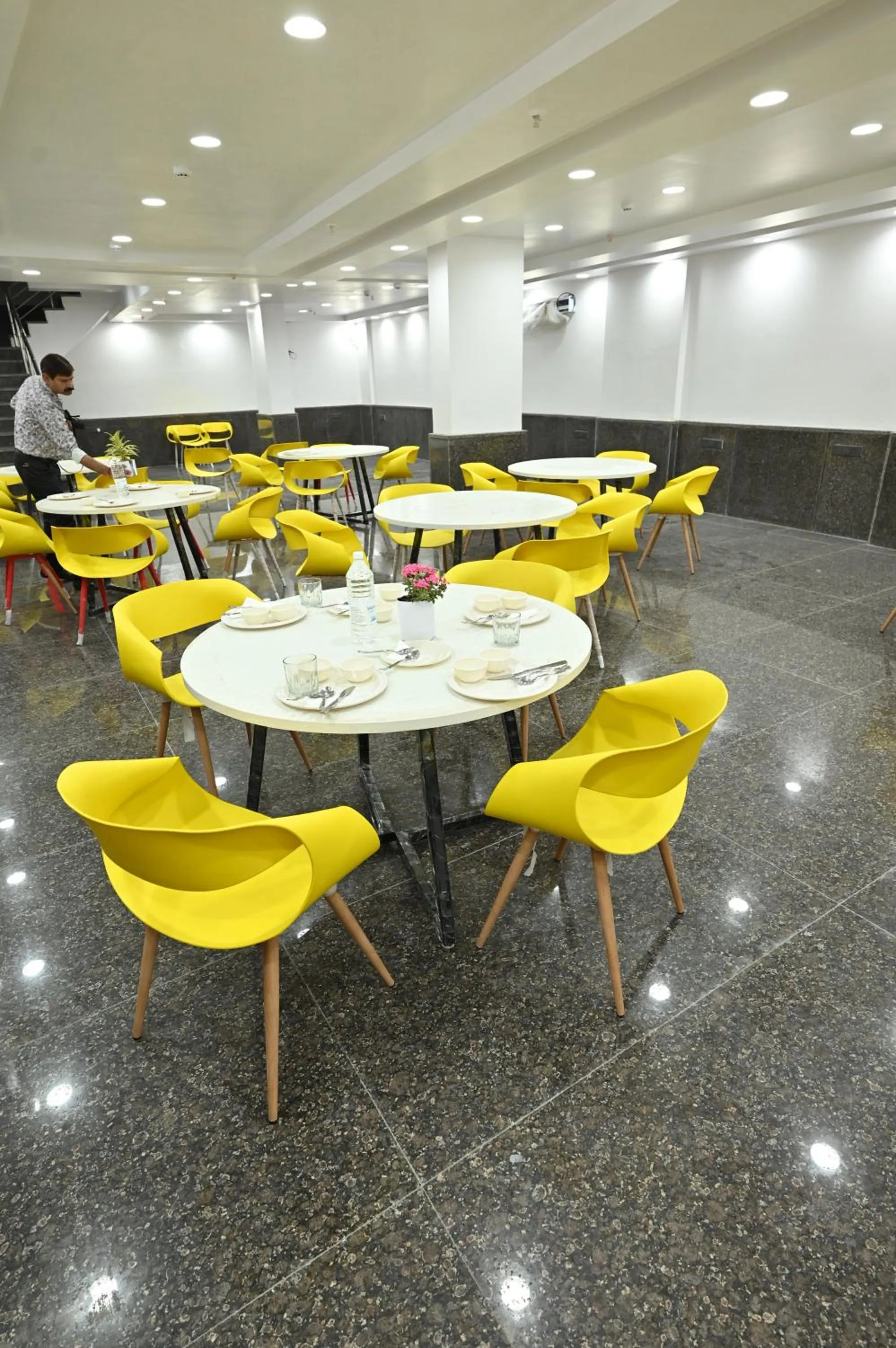 Hotel Down Town Paschim Vihar