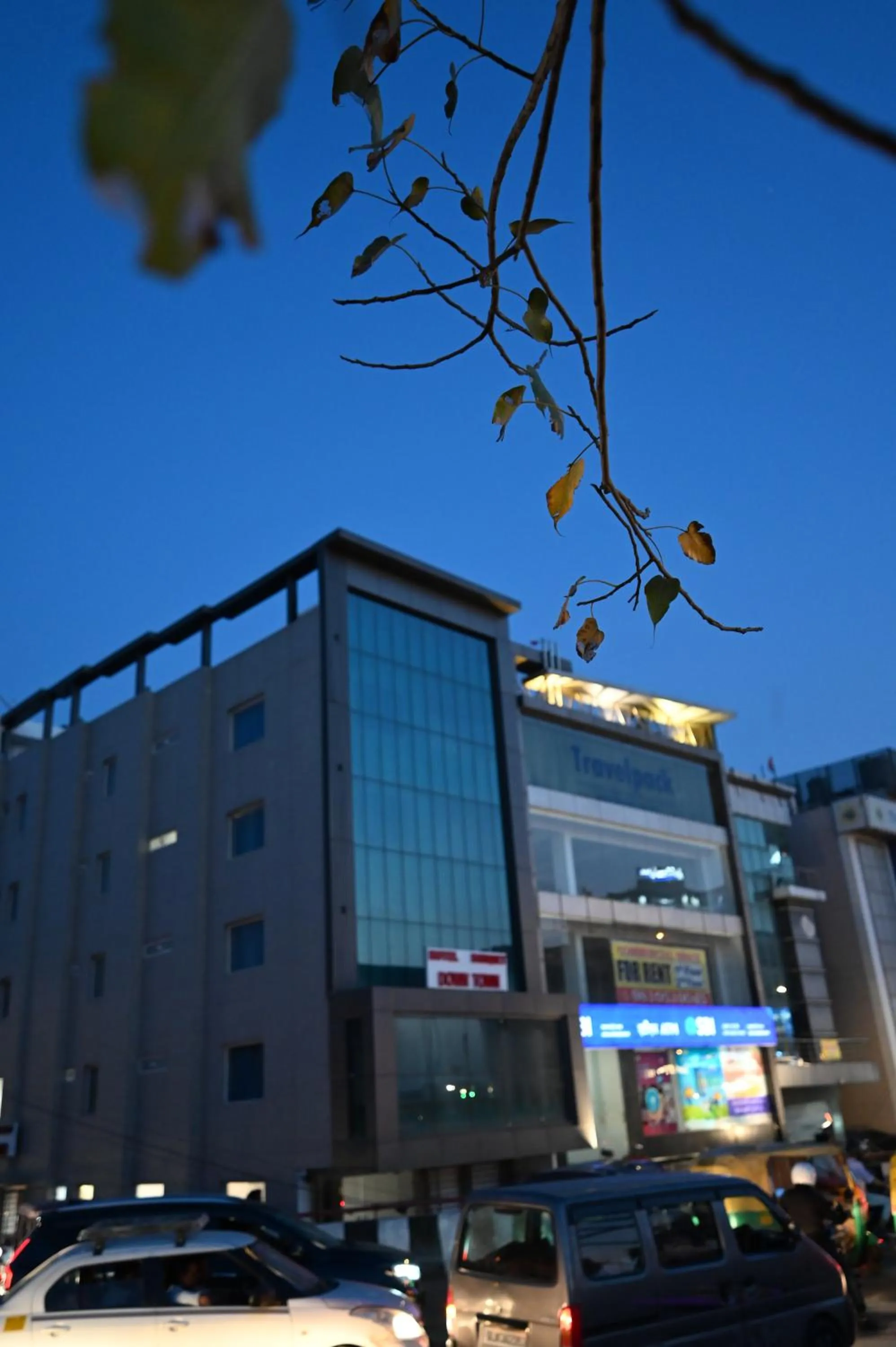Hotel Down Town Paschim Vihar