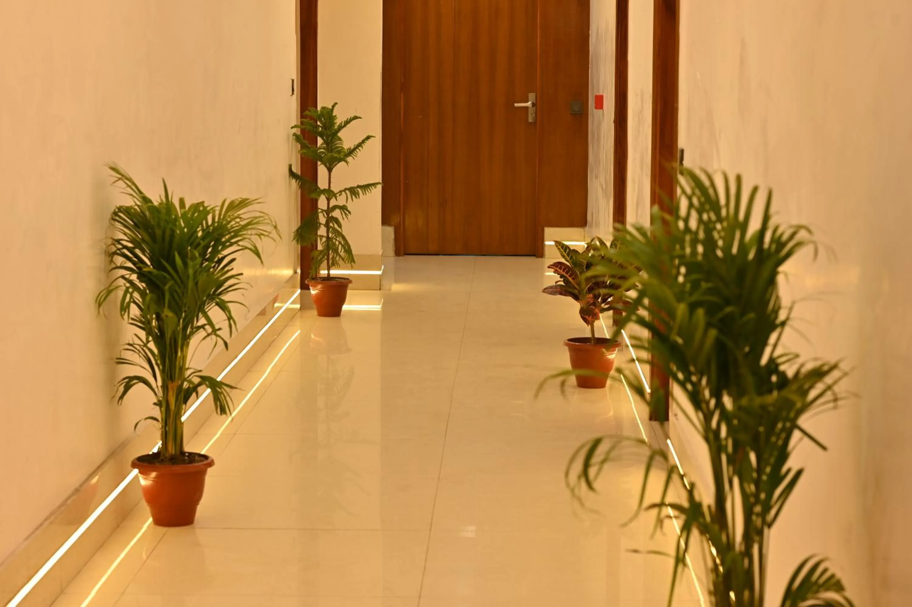 Hotel Down Town Paschim Vihar