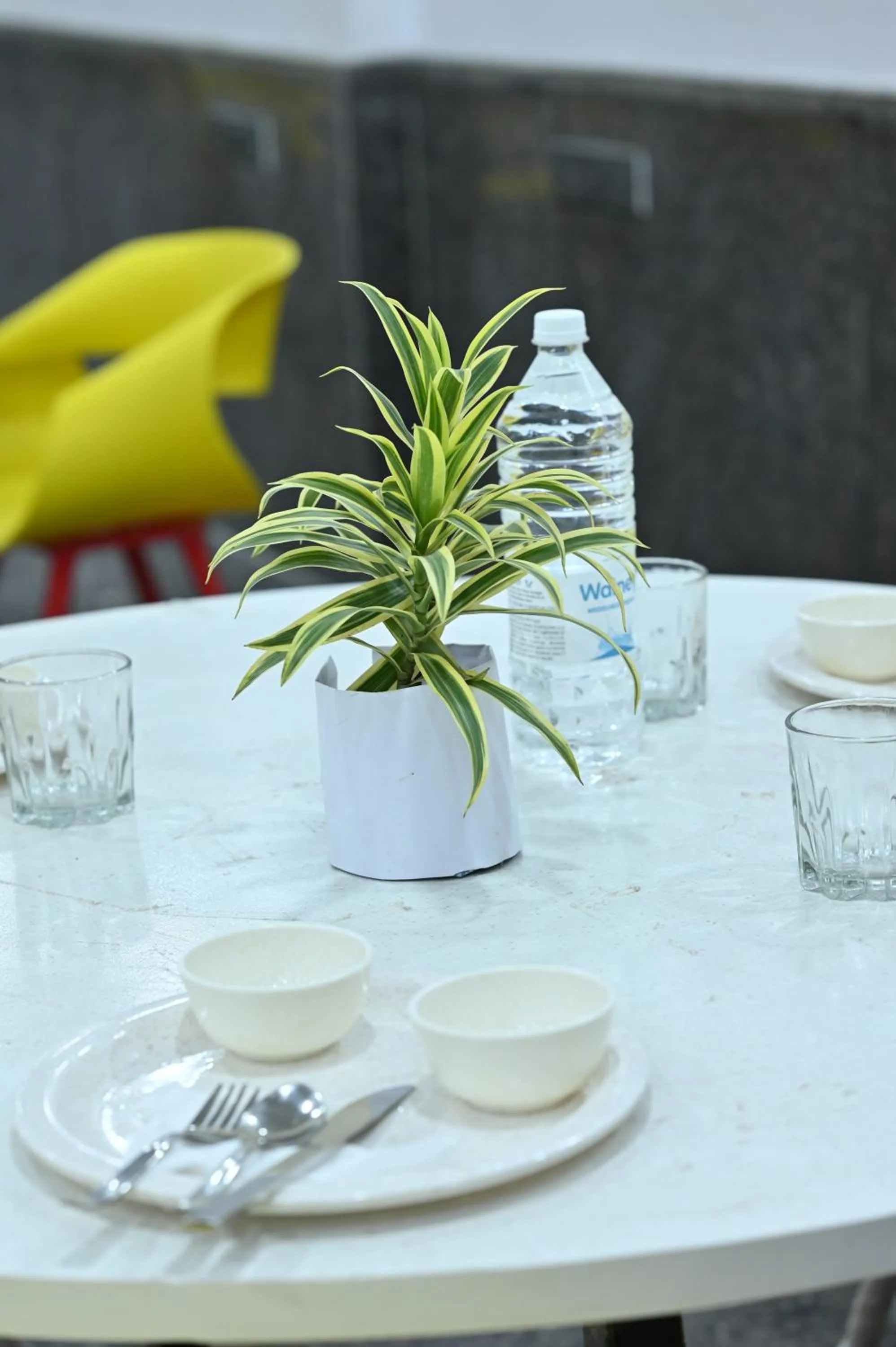 Hotel Down Town Paschim Vihar