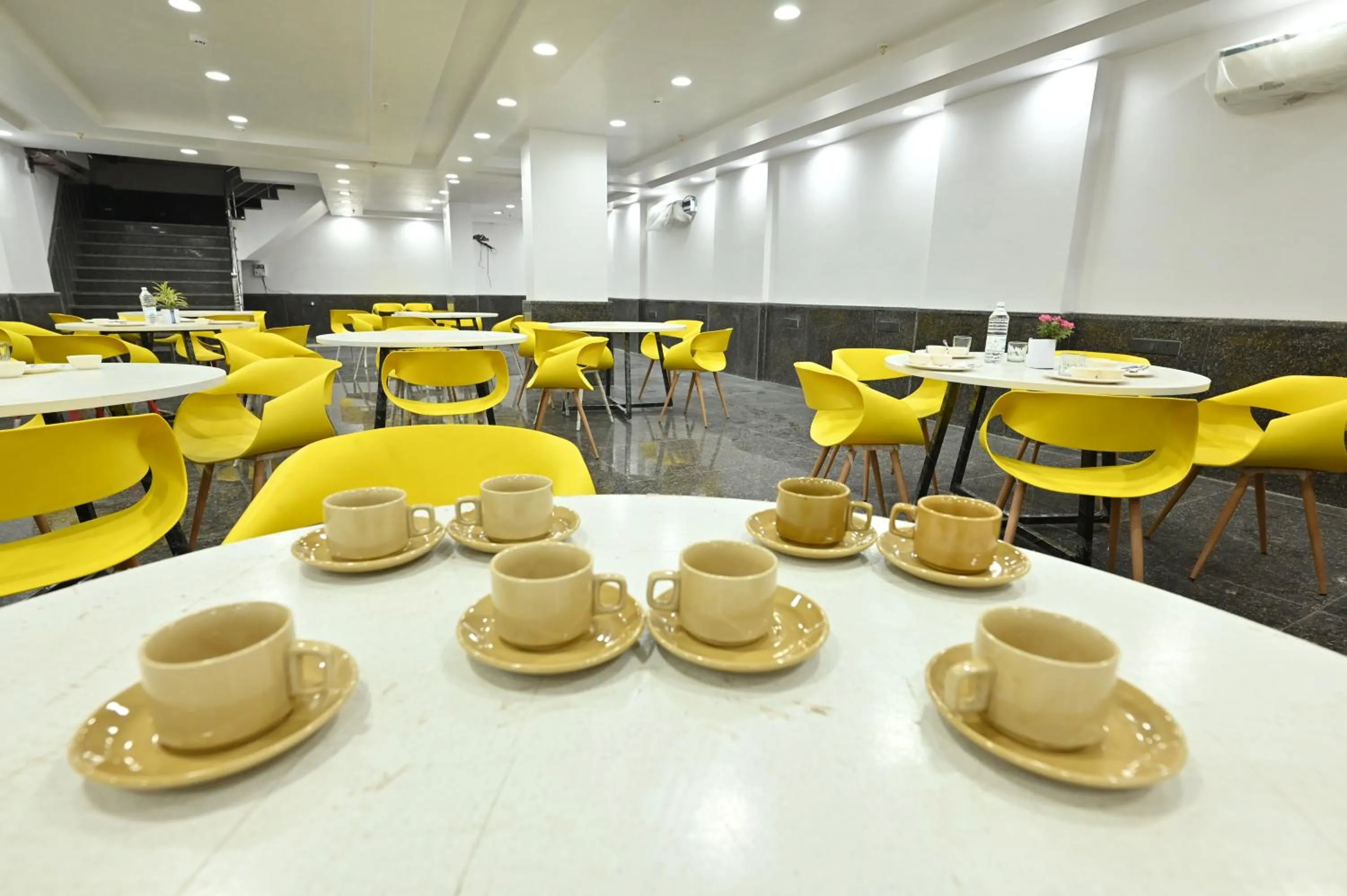 Hotel Down Town Paschim Vihar