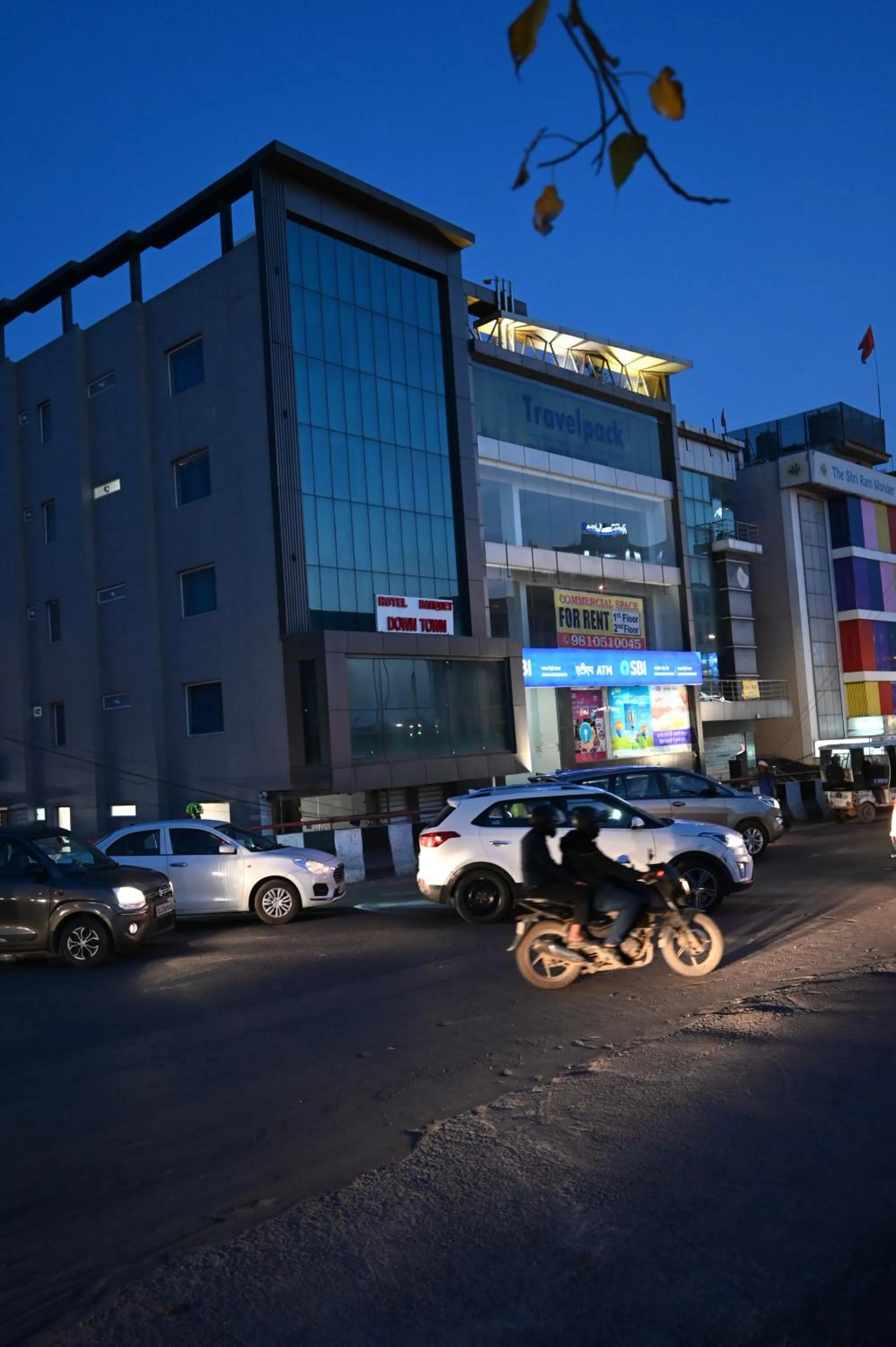 Hotel Down Town Paschim Vihar