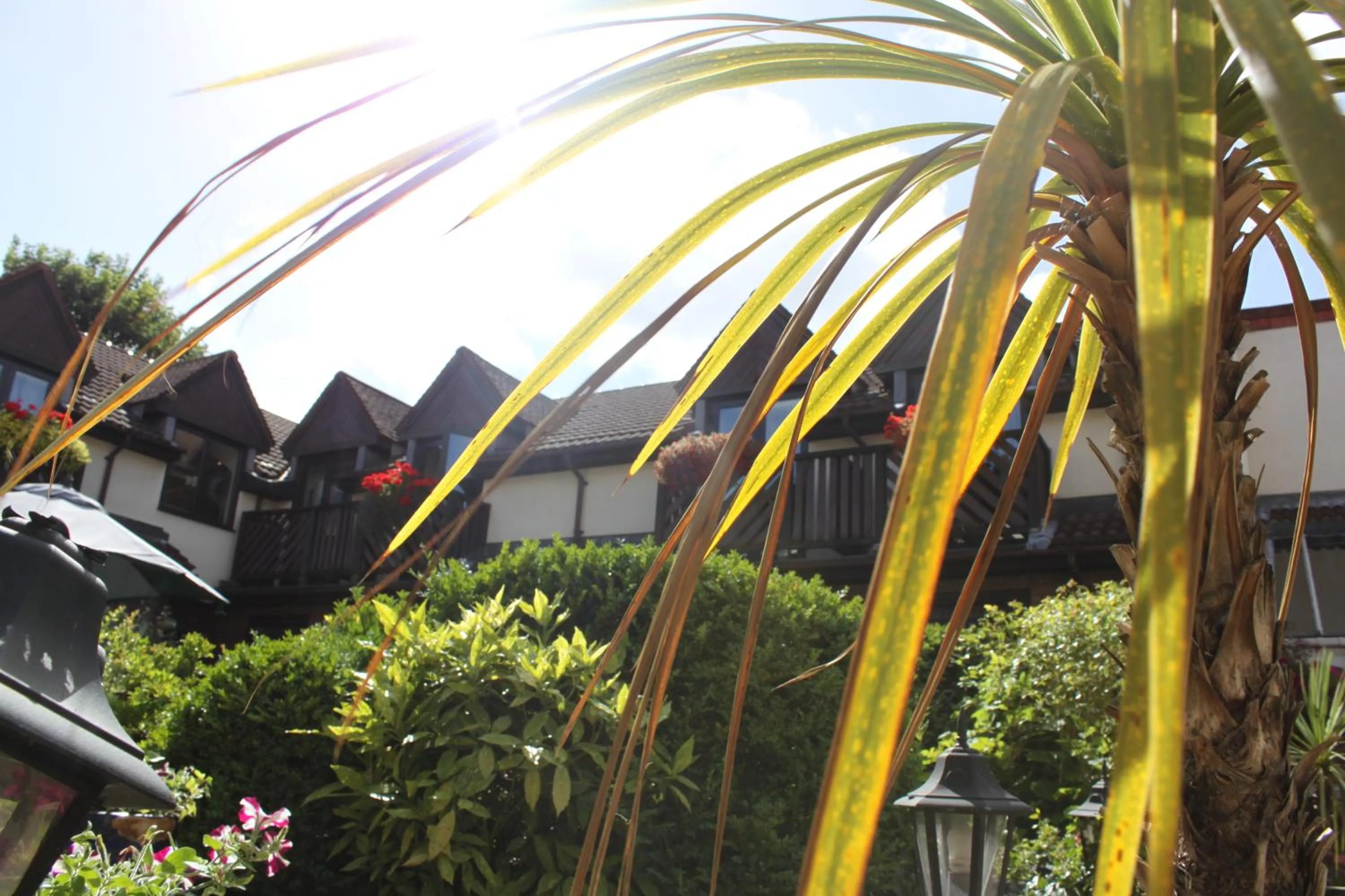 Balcony/Terrace, Property Building in Kingston Lodge Hotel