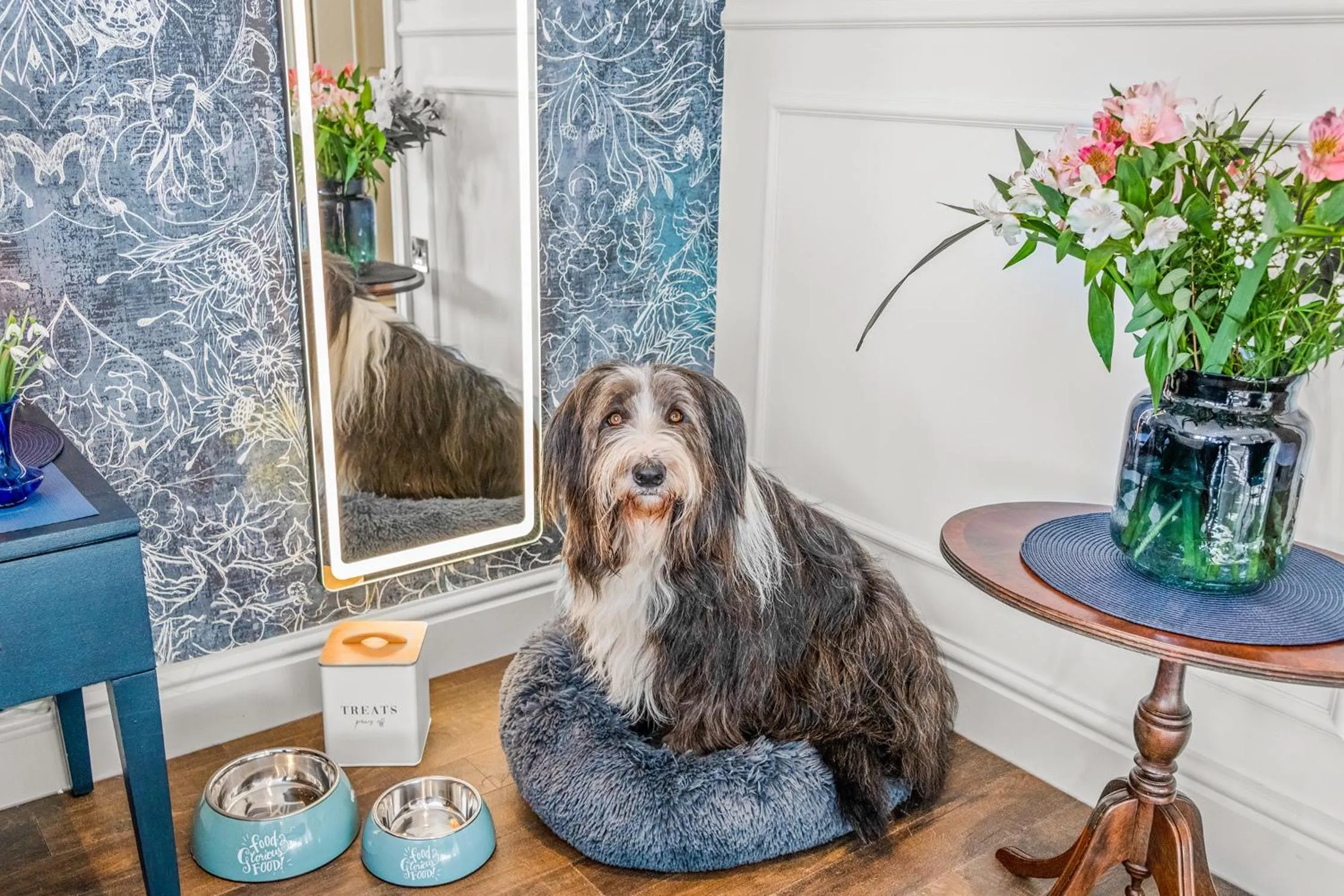 Pets in The Ley Arms