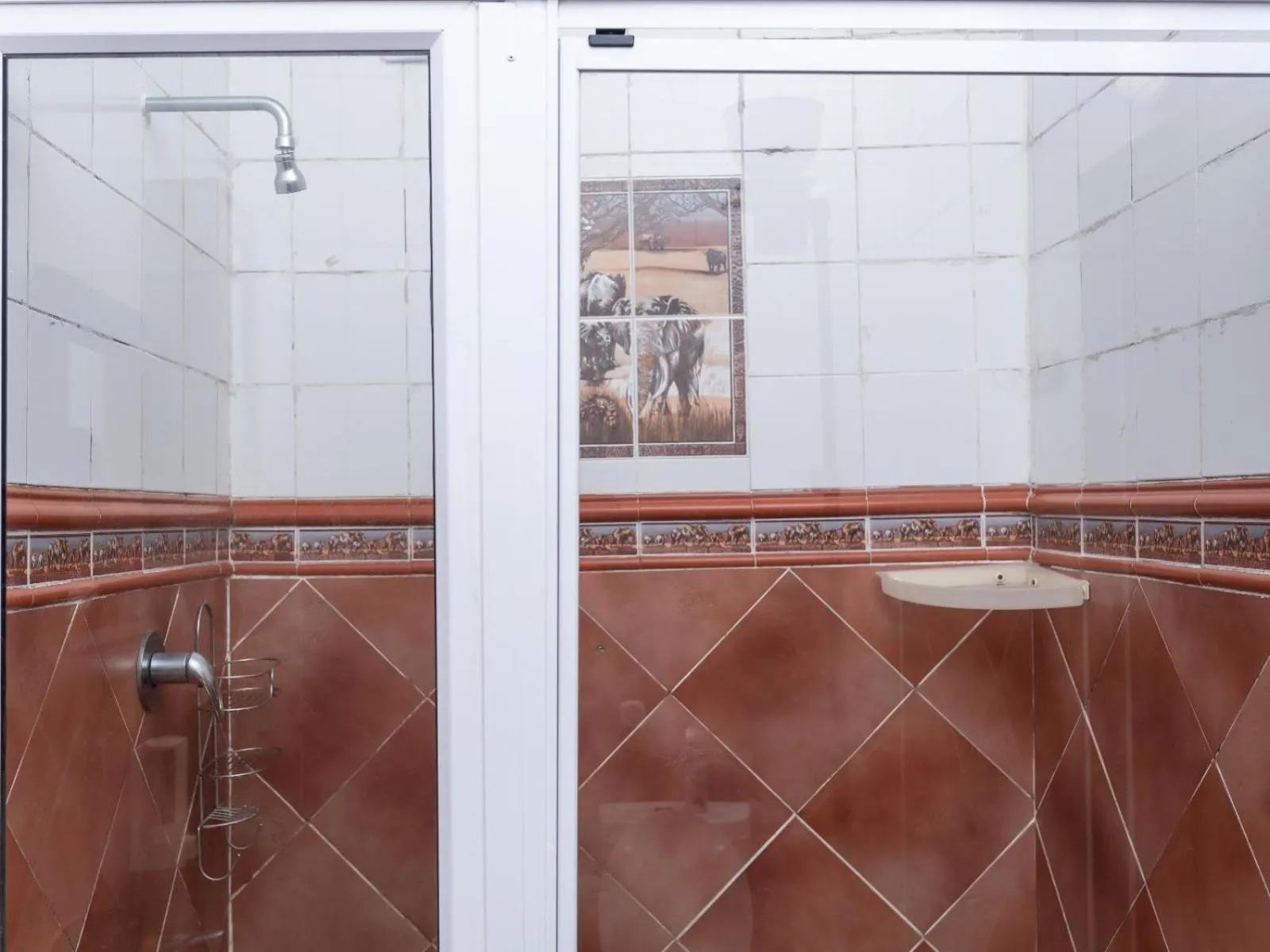 Shower in Dolphin Coast B&B / Self catering