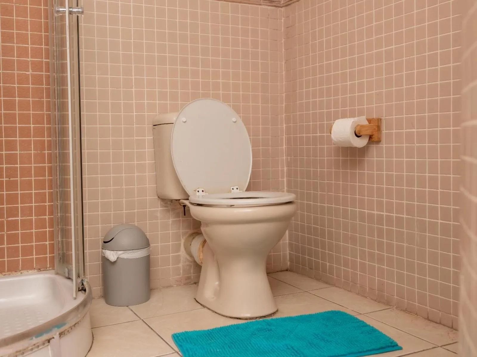 Toilet in Dolphin Coast B&B / Self catering