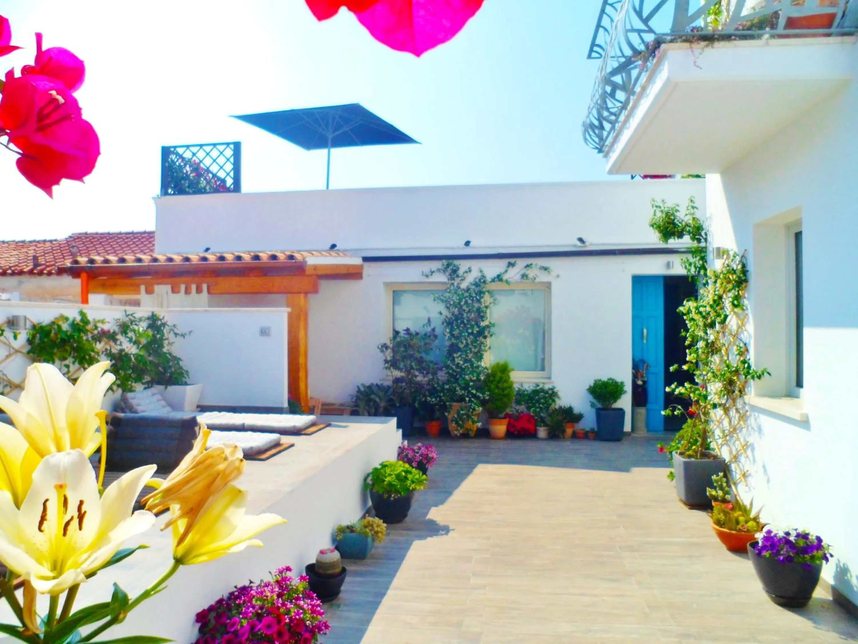 Garden in B&B Domus de Janas Santa Teresa Gallura