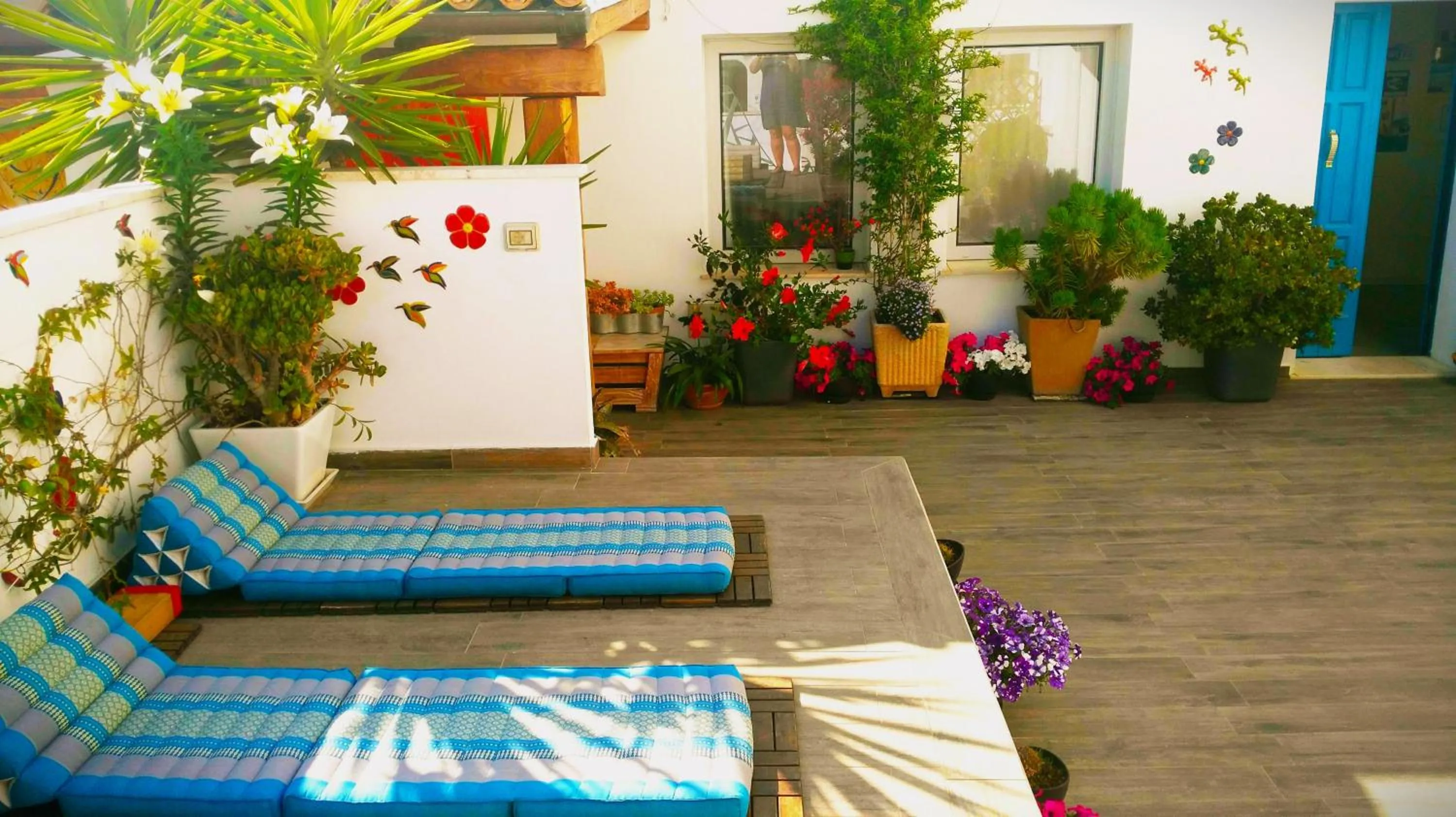 Solarium in B&B Domus de Janas Santa Teresa Gallura