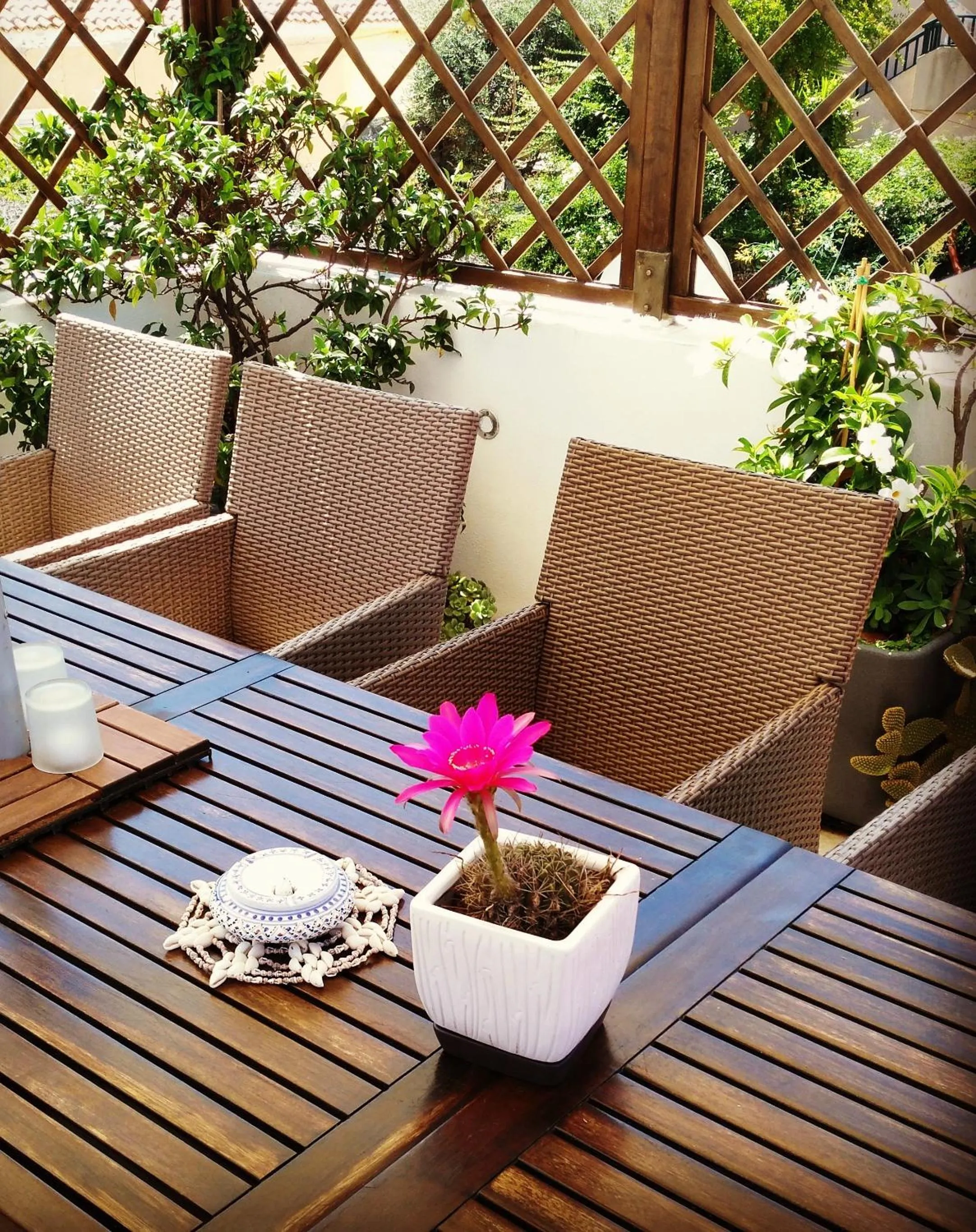 Balcony/Terrace in B&B Domus de Janas Santa Teresa Gallura