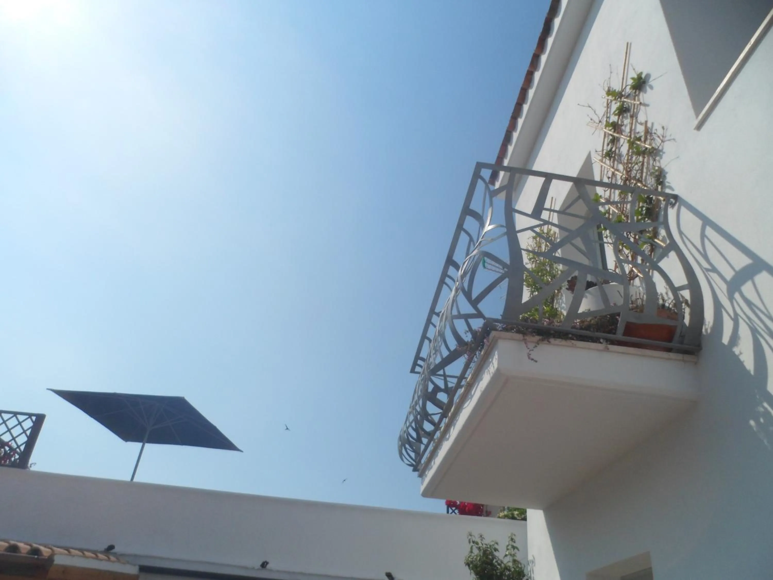 Balcony/Terrace in B&B Domus de Janas Santa Teresa Gallura