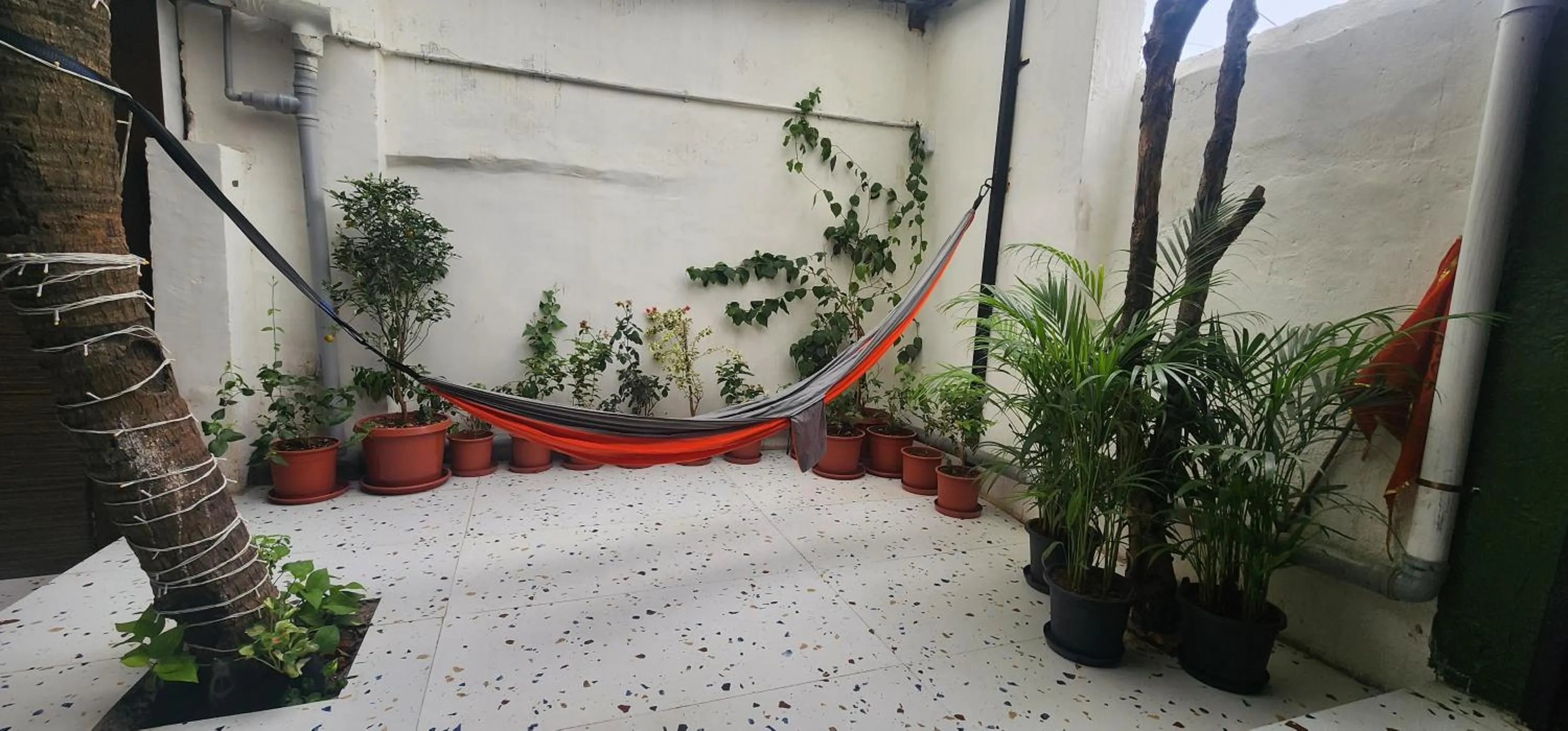Lobby or reception in Hammock Hostels - Bandra