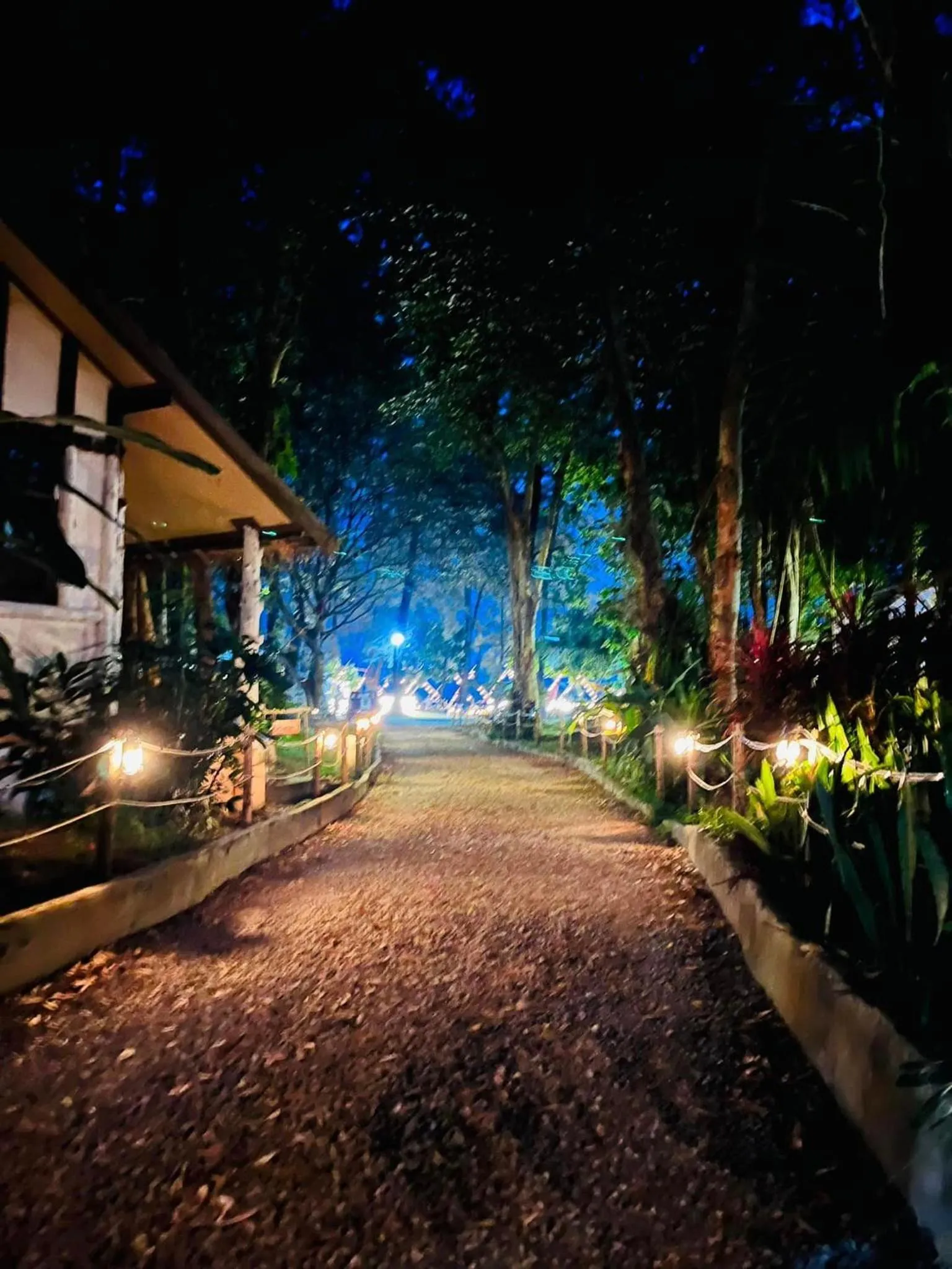 Night in Long Beach Club Krabi