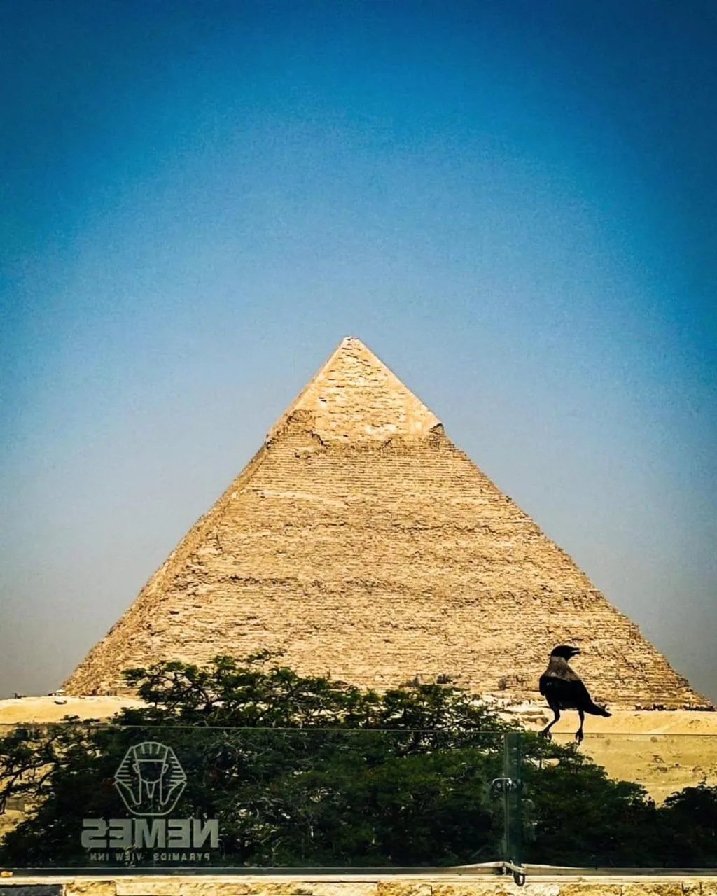 Day in NEMES Pyramids View INN