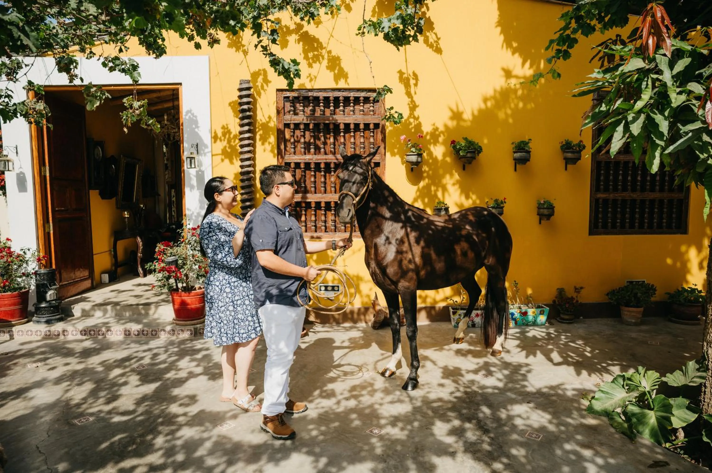 Horse-riding in Serenity Lodge