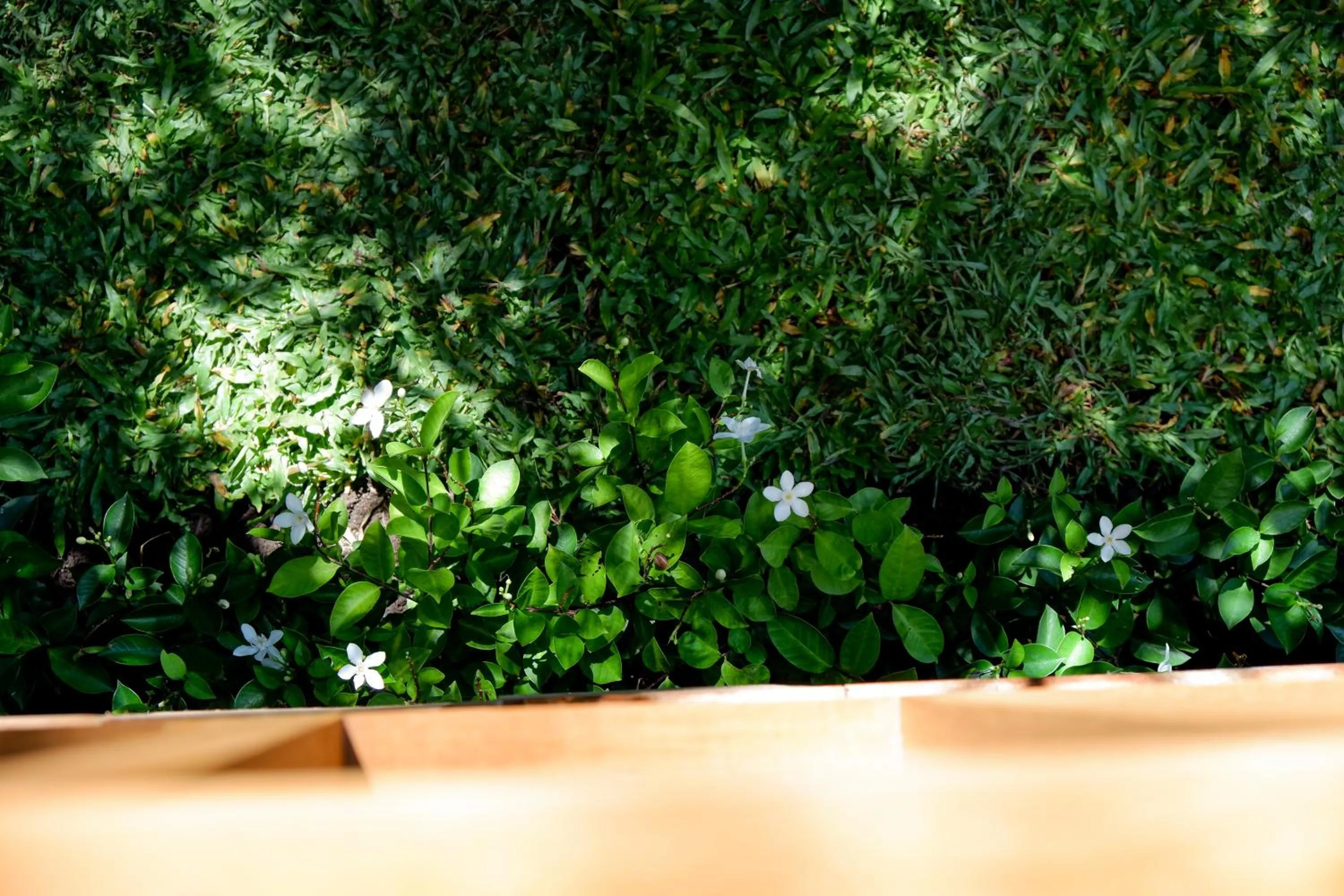 Garden in Moorea Boutique Resort Samui