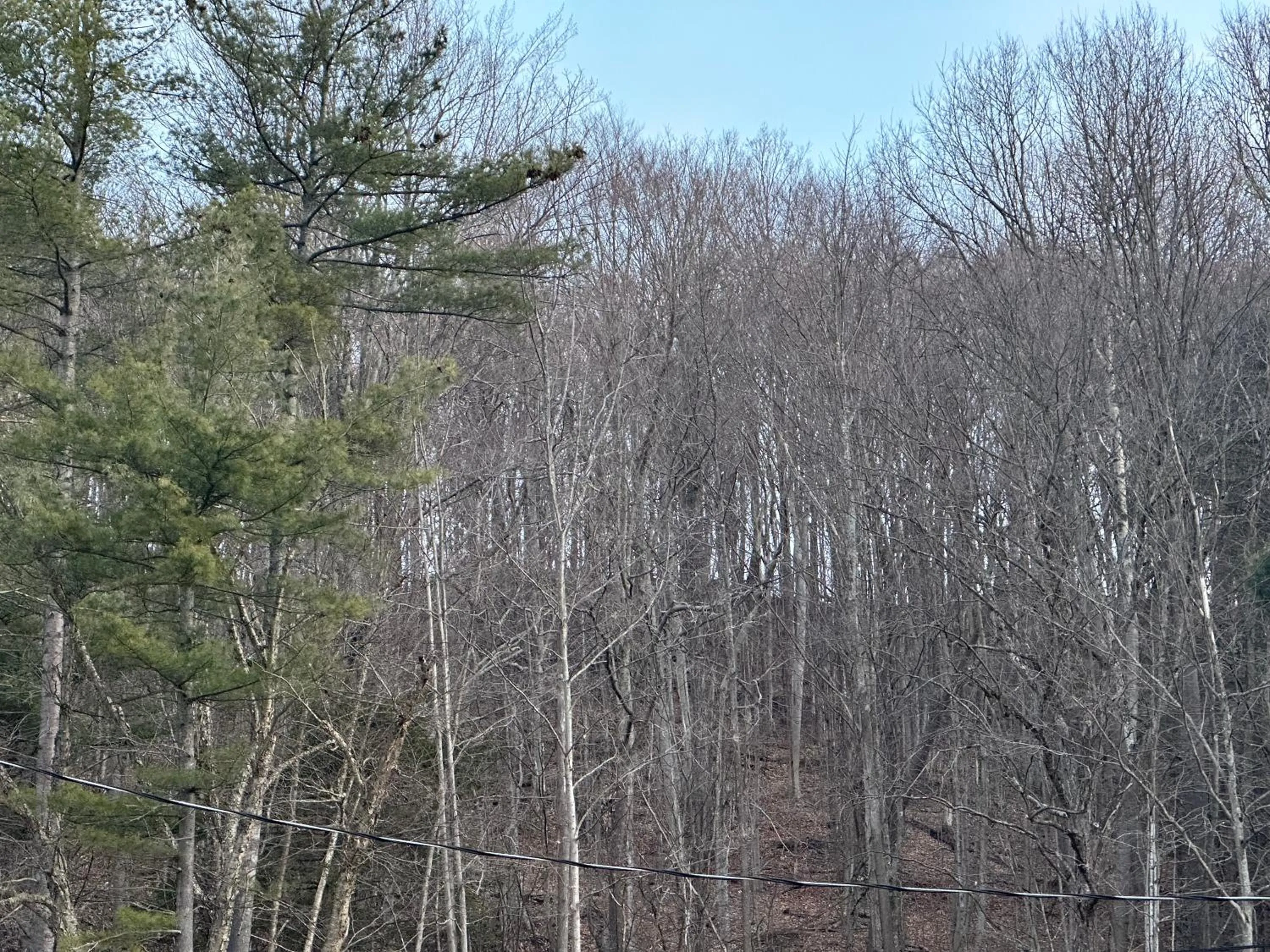 Natural landscape in Economy Inn