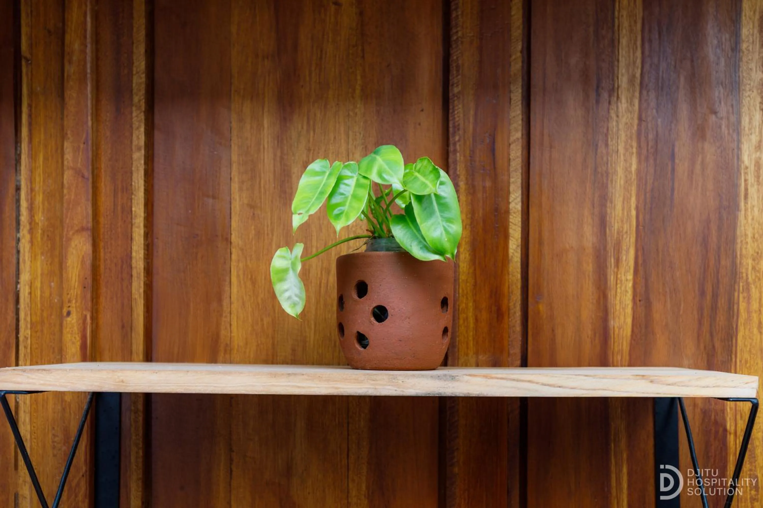 Garden in Yukke Tembi Homestay