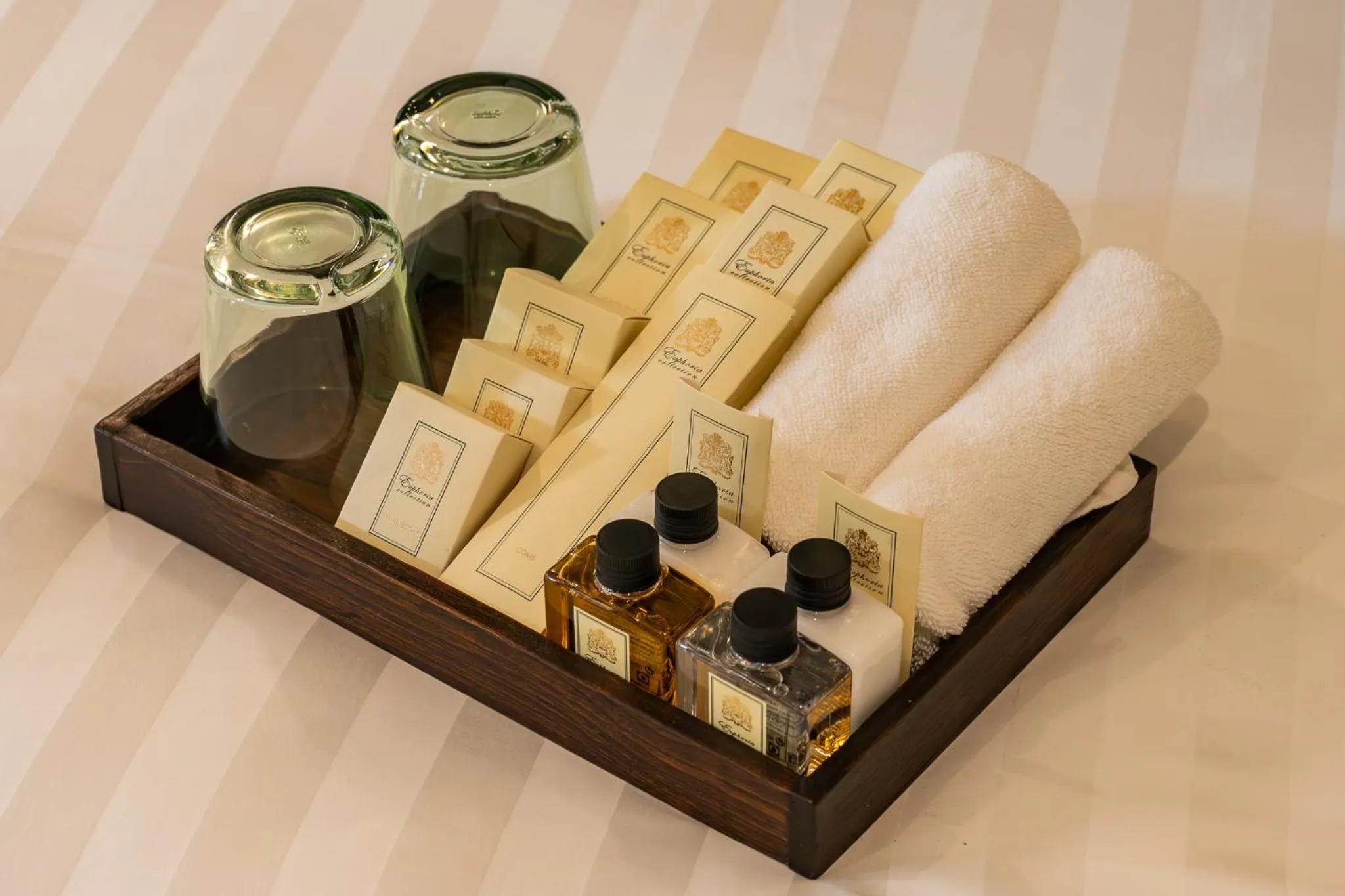 Area and facilities in Shamrock Chiangmai Hotel-Adult Only