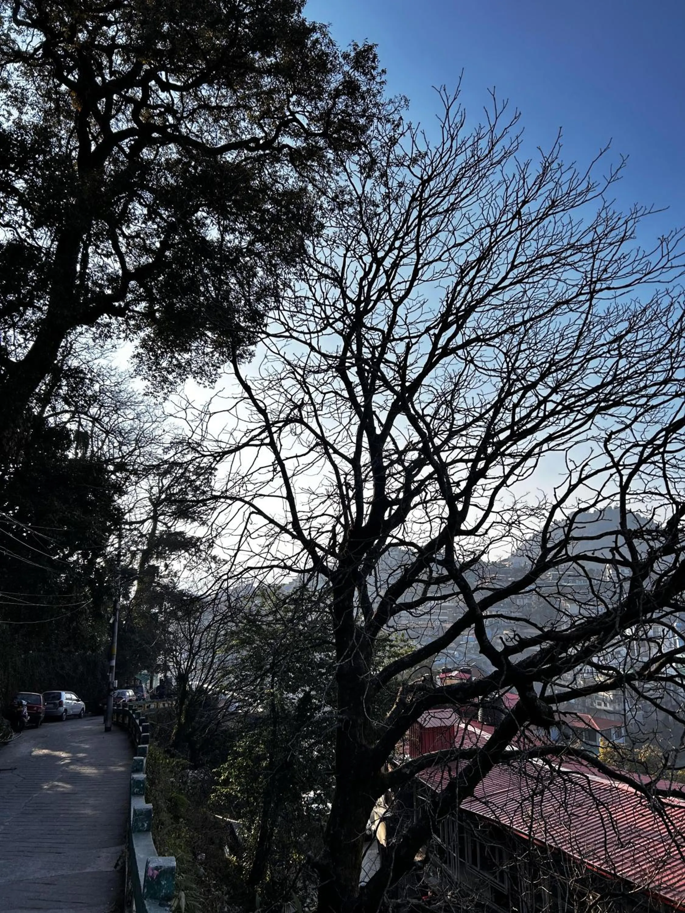 Day in Super Hotel by Perfectstayz Mall Road