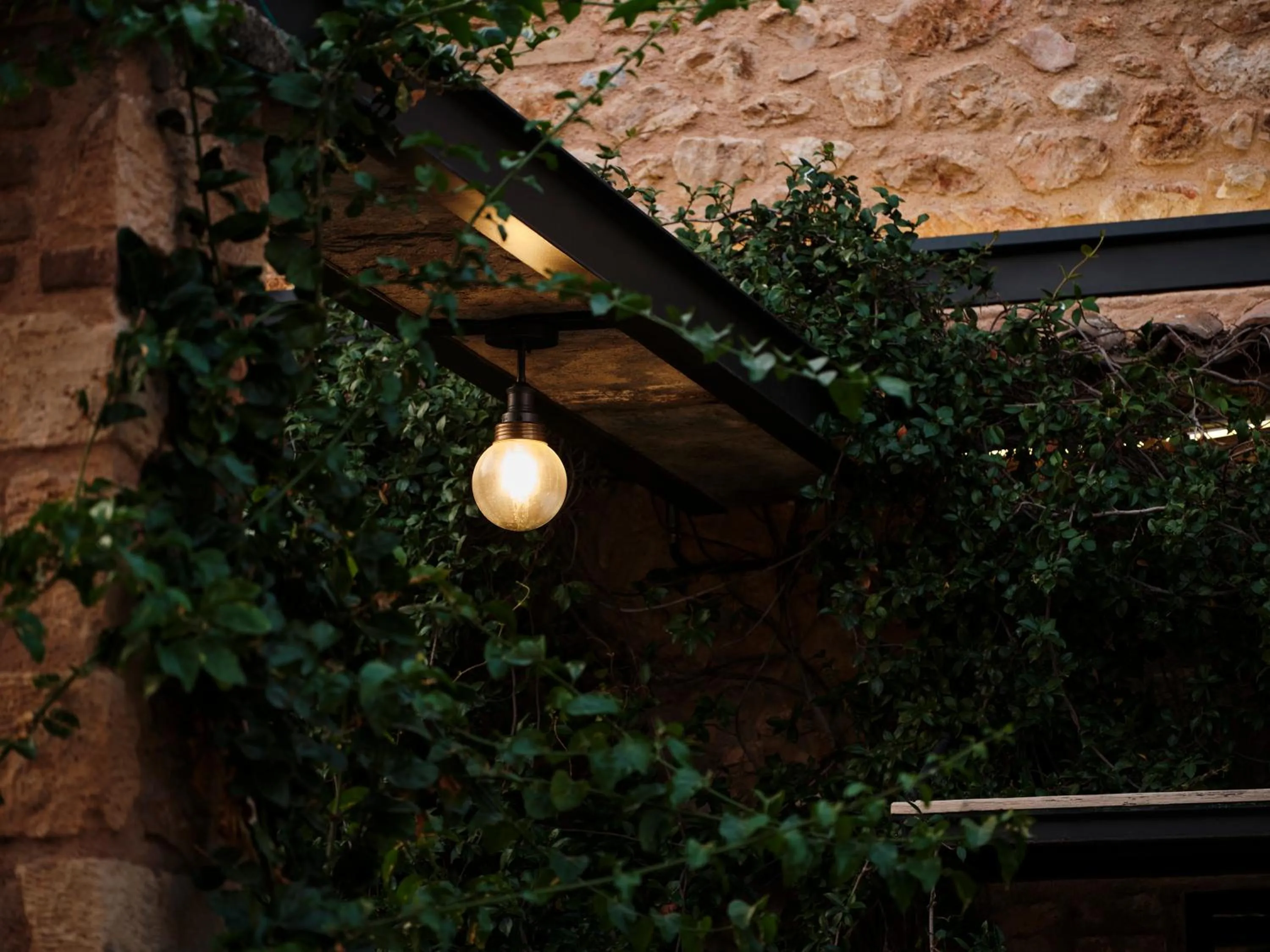 Garden in Not Boutique Hotel