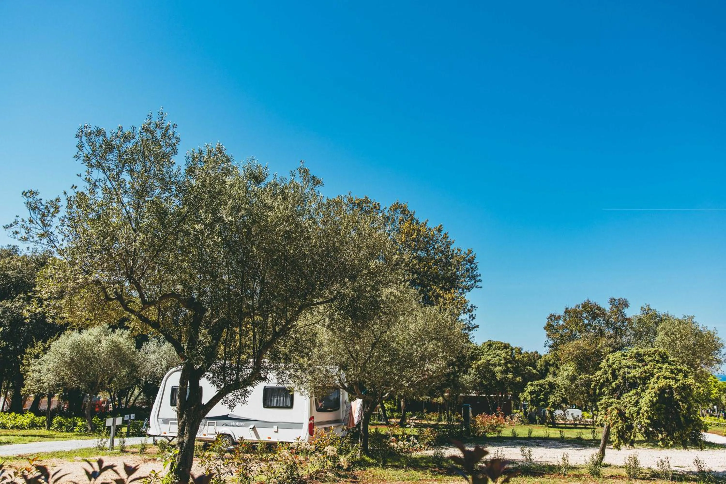 Natural landscape in Maistra Camping Amarin Pitches