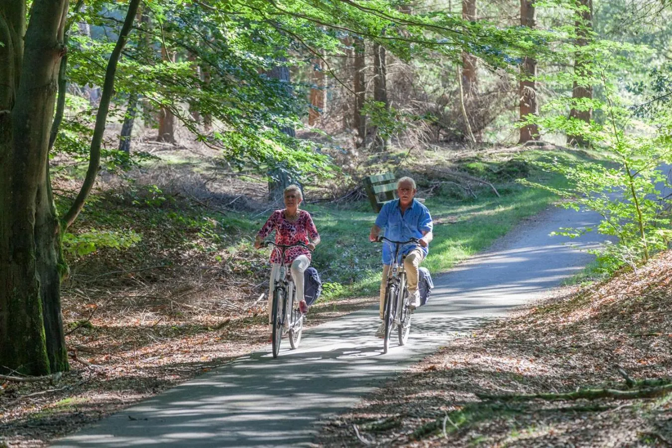 Natural landscape in Hotel van der Valk Spier Dwingeloo