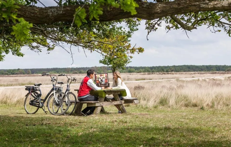 Hotel van der Valk Spier Dwingeloo