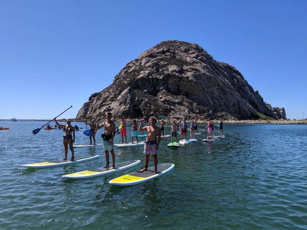 Natural landscape in HarborWalk Inn