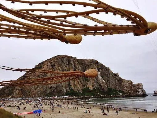 Natural landscape in HarborWalk Inn