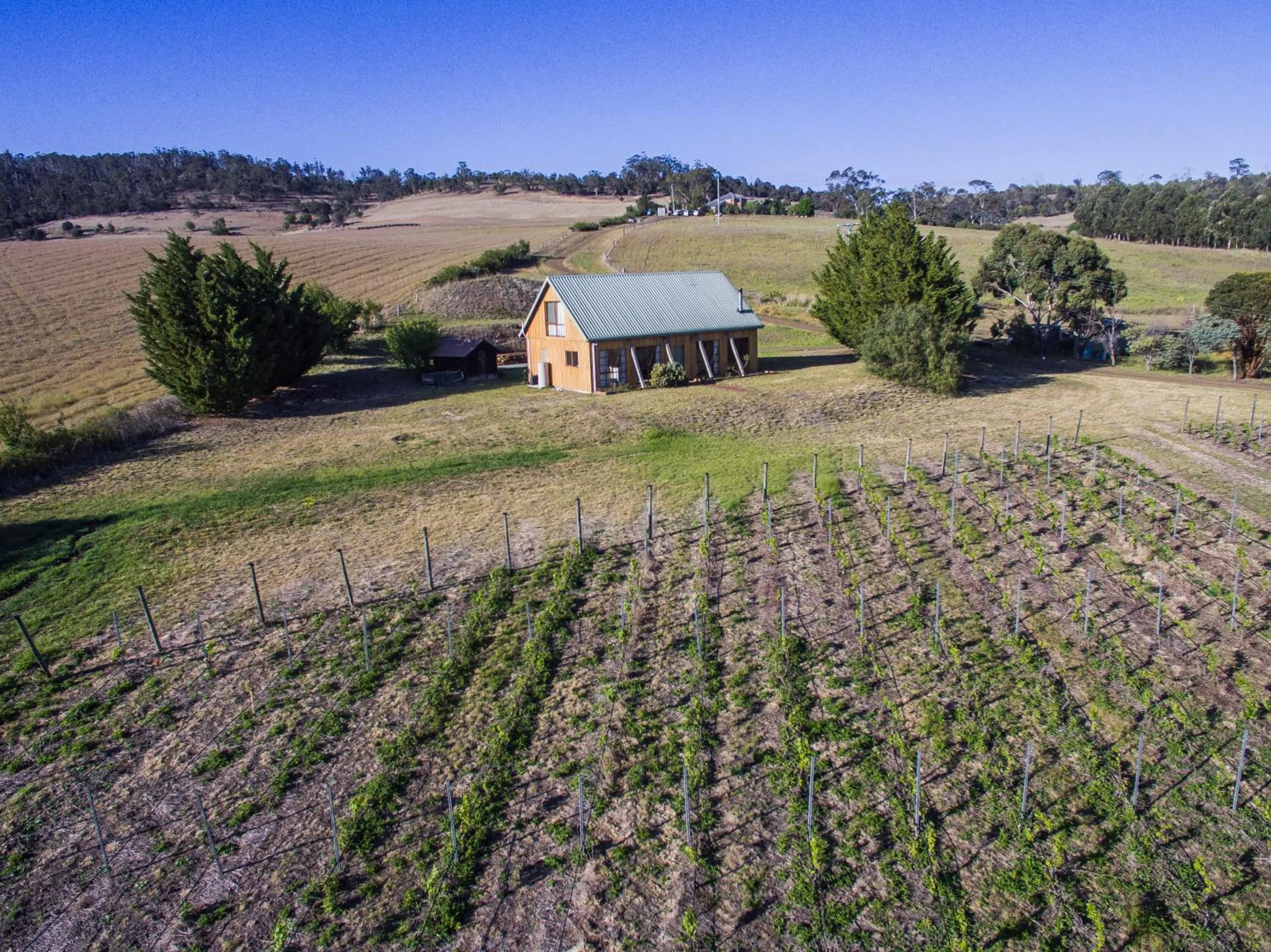 Property building in Charles Reuben Estate