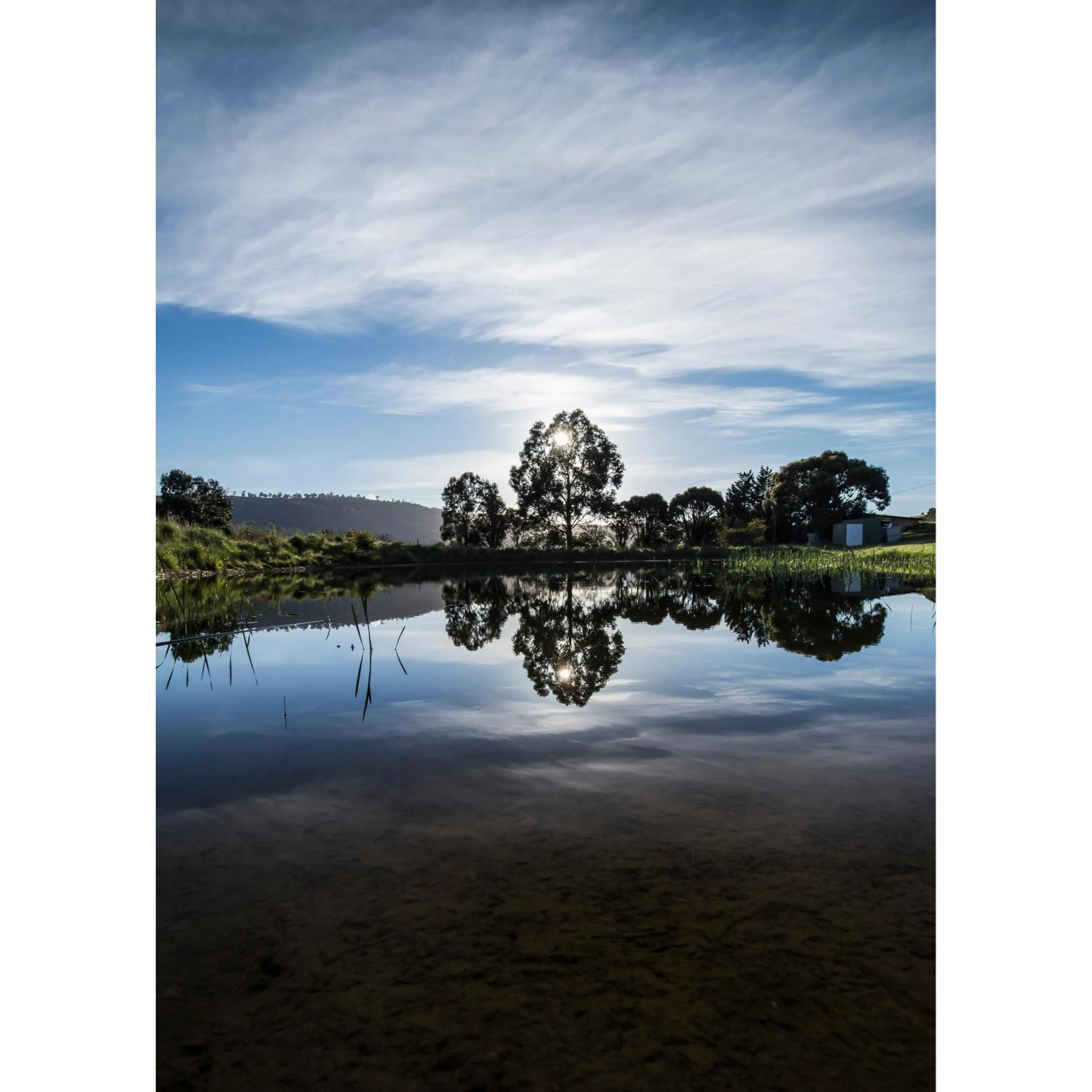 Natural landscape in Charles Reuben Estate