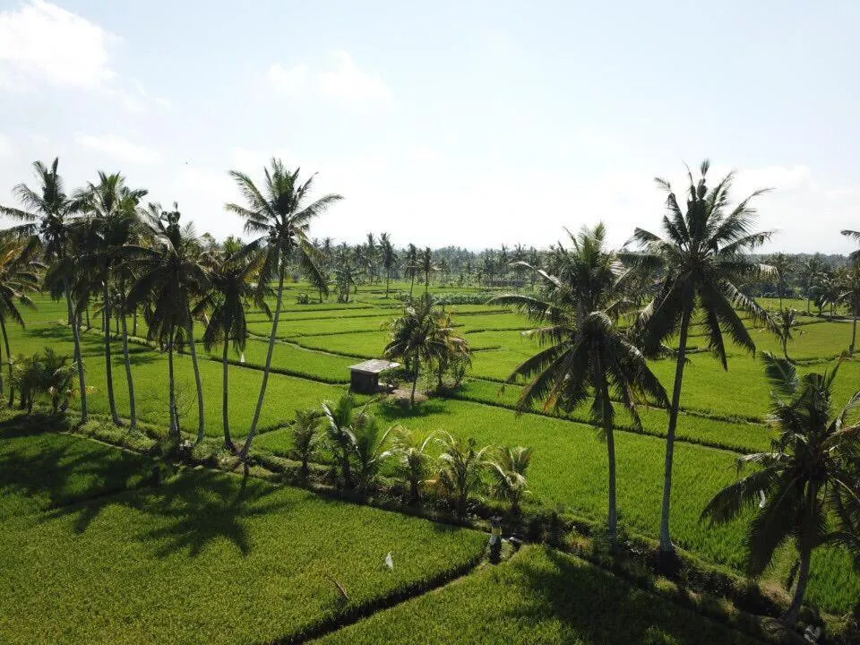 The Sawah Resort & Villa