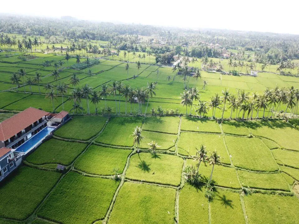 The Sawah Resort & Villa