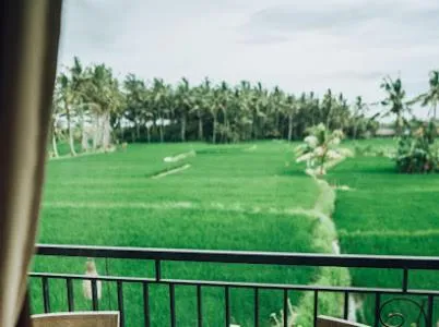 The Sawah Resort & Villa