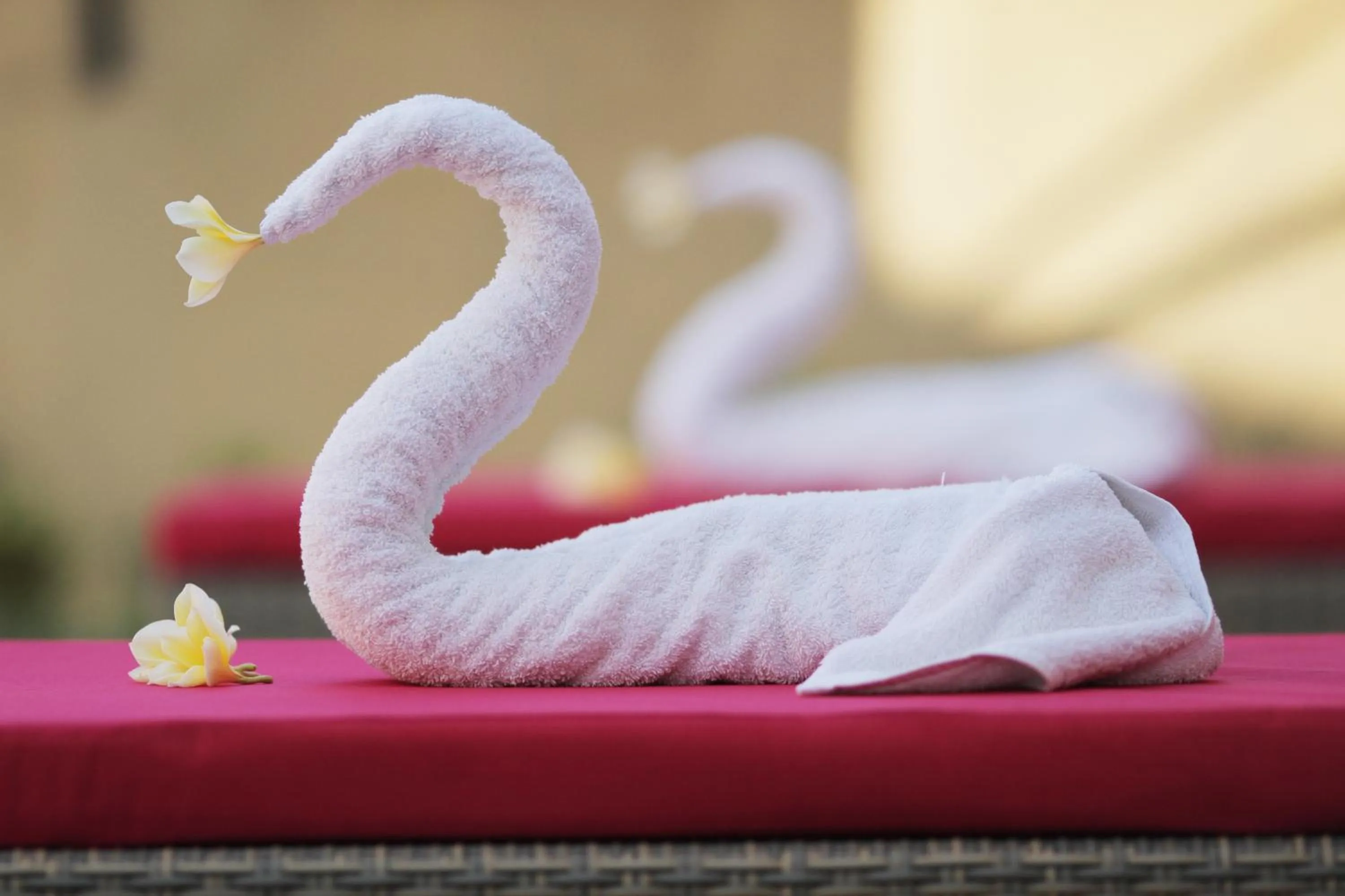 Other in The Sawah Resort & Villa