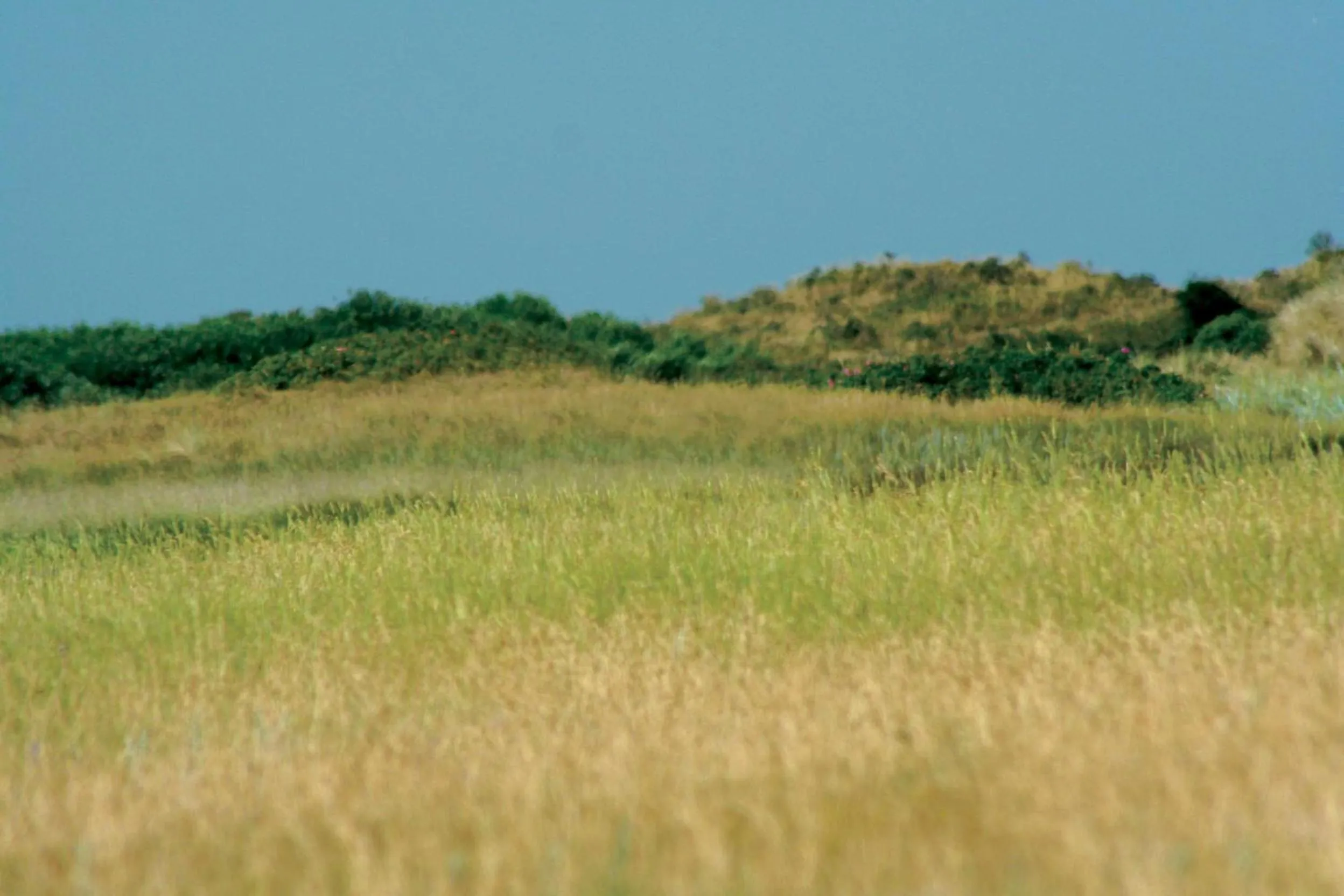Natural landscape in Fletcher Hotel La Ville Blanche