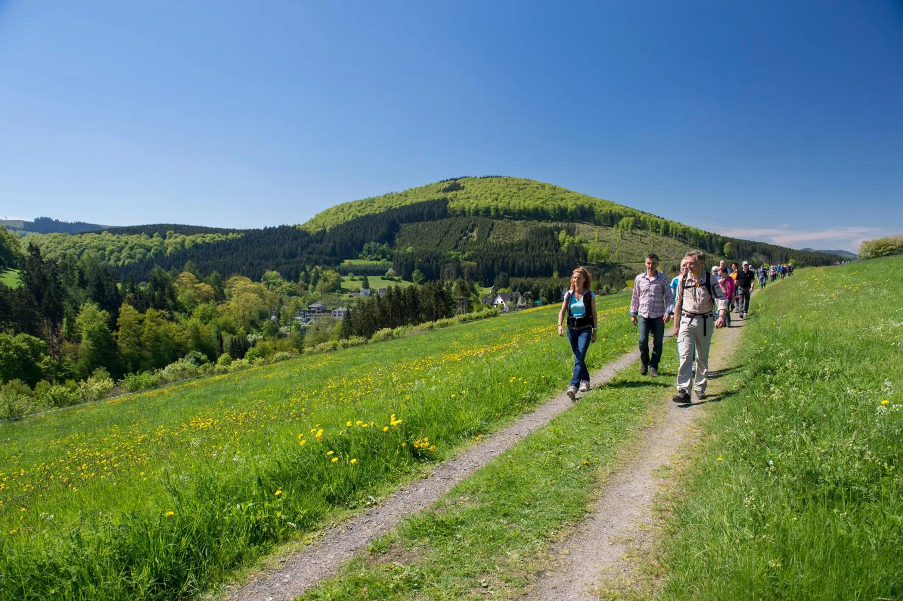 Hiking in Landgasthof Scherer