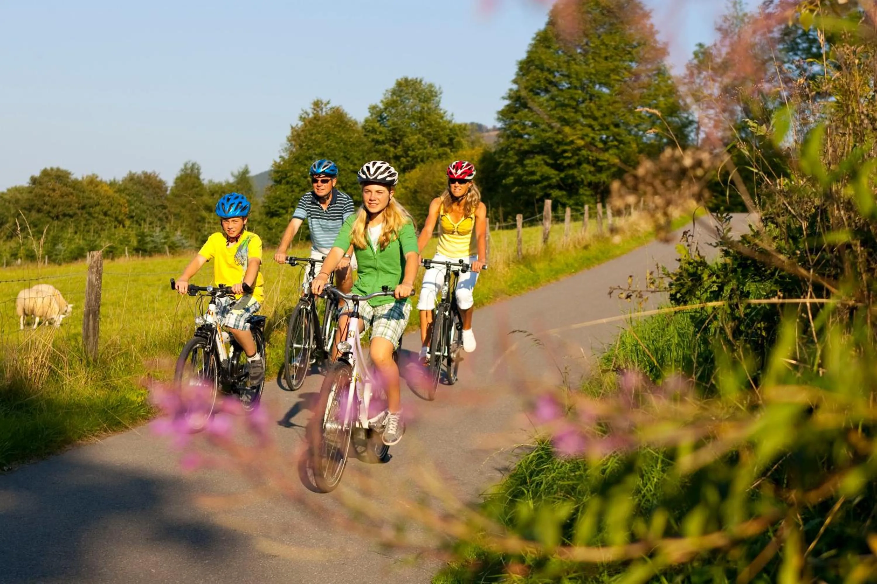 Cycling in Landgasthof Scherer