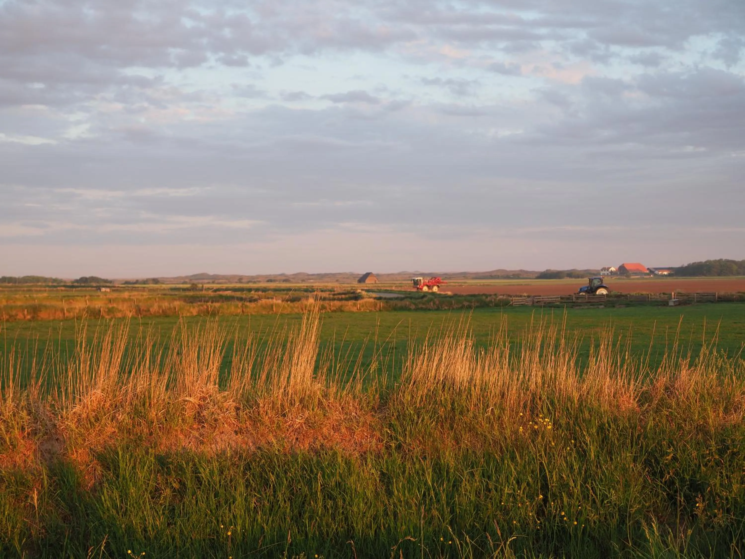 View (from property/room) in Hotel-Restaurant Loodsmans Welvaren