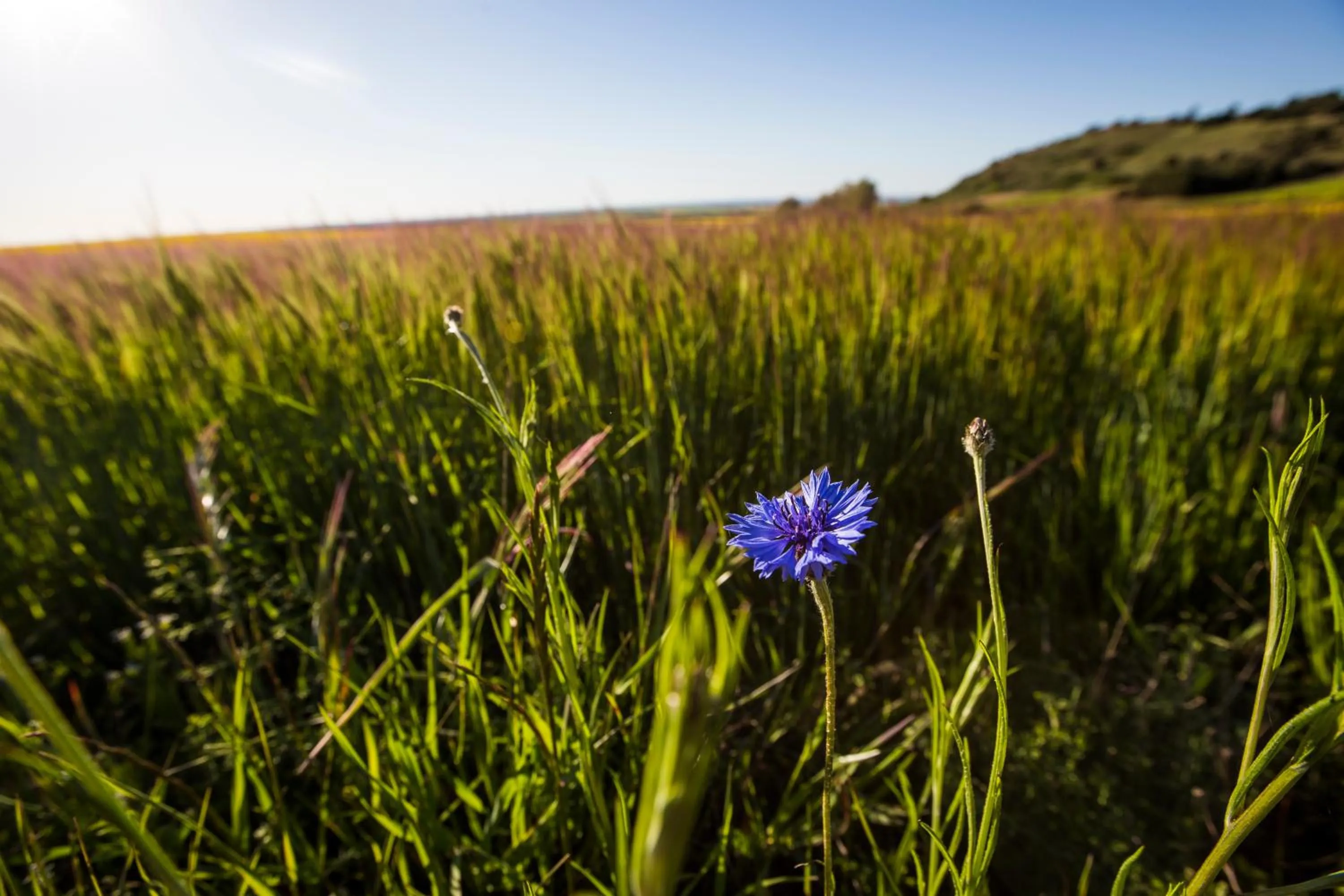 Natural landscape in Posada Real del Buen Camino, alojamiento rural