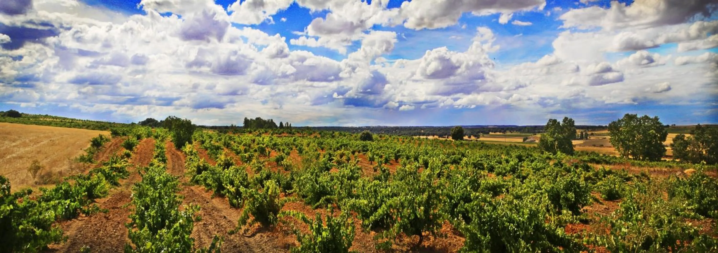 Natural landscape in Posada Real del Buen Camino, alojamiento rural