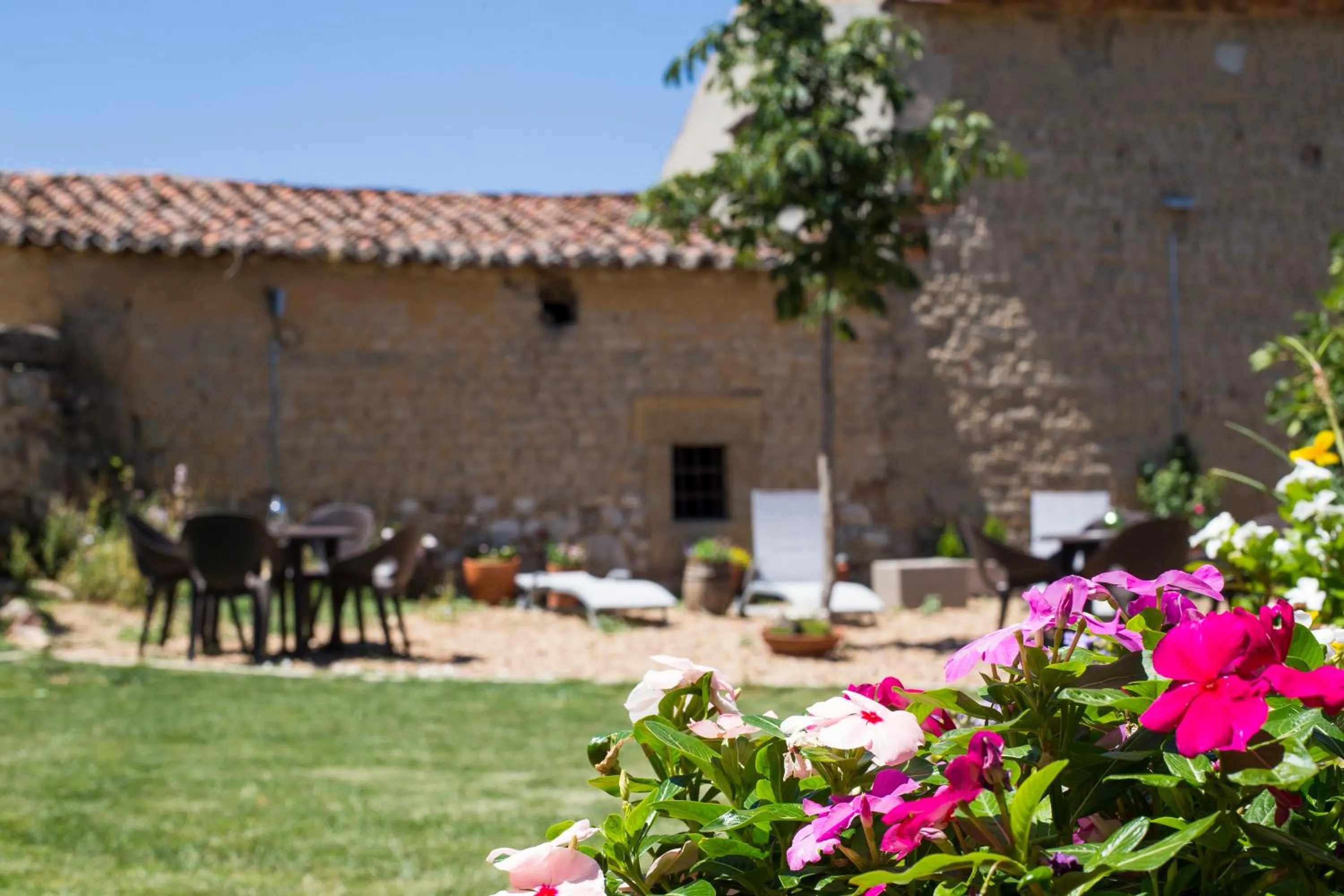 Garden in Posada Real del Buen Camino, alojamiento rural