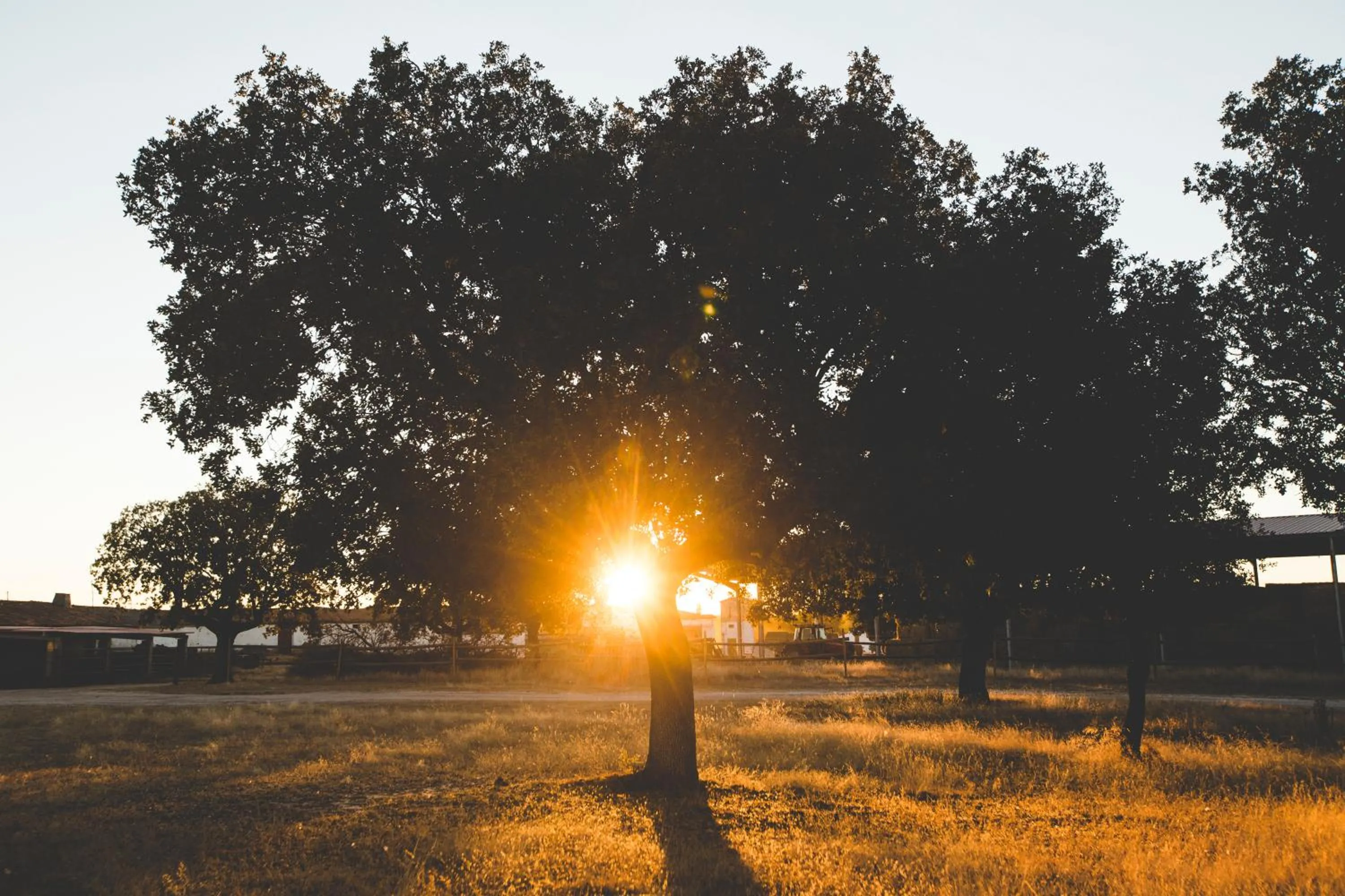 Sunset in Posada Real del Buen Camino, alojamiento rural