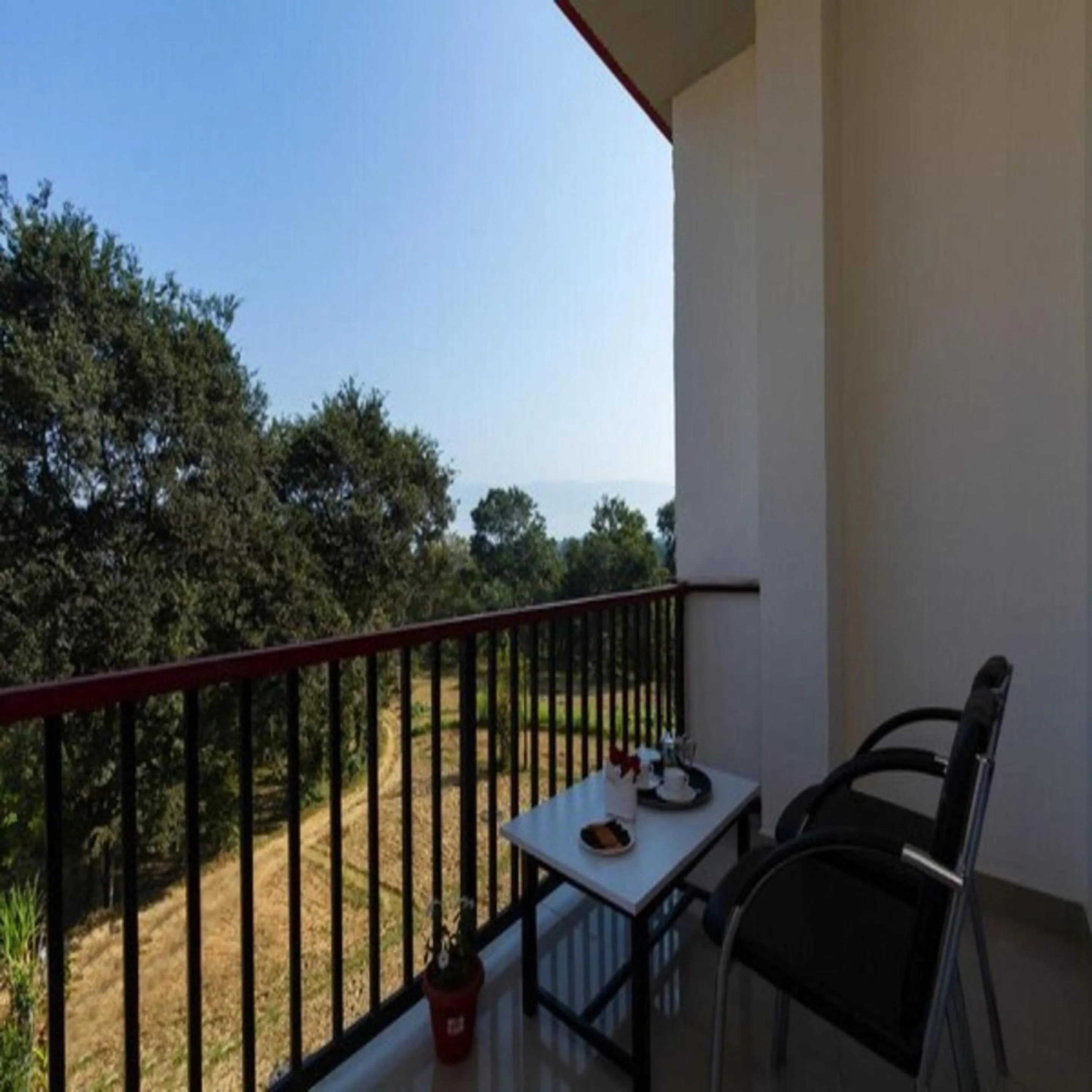 Balcony/Terrace in Hotel Roop