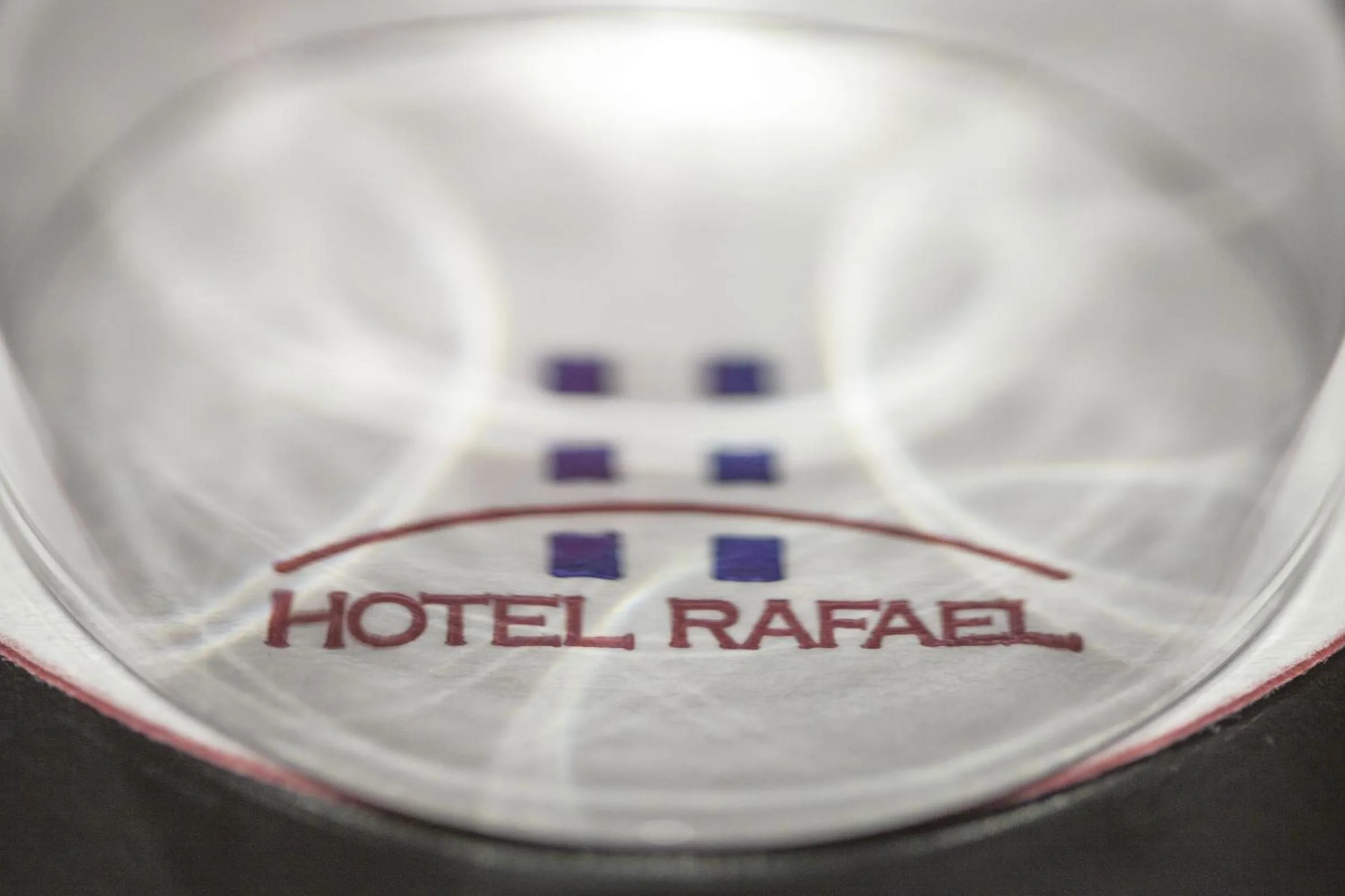 Decorative detail in Hotel Rafael