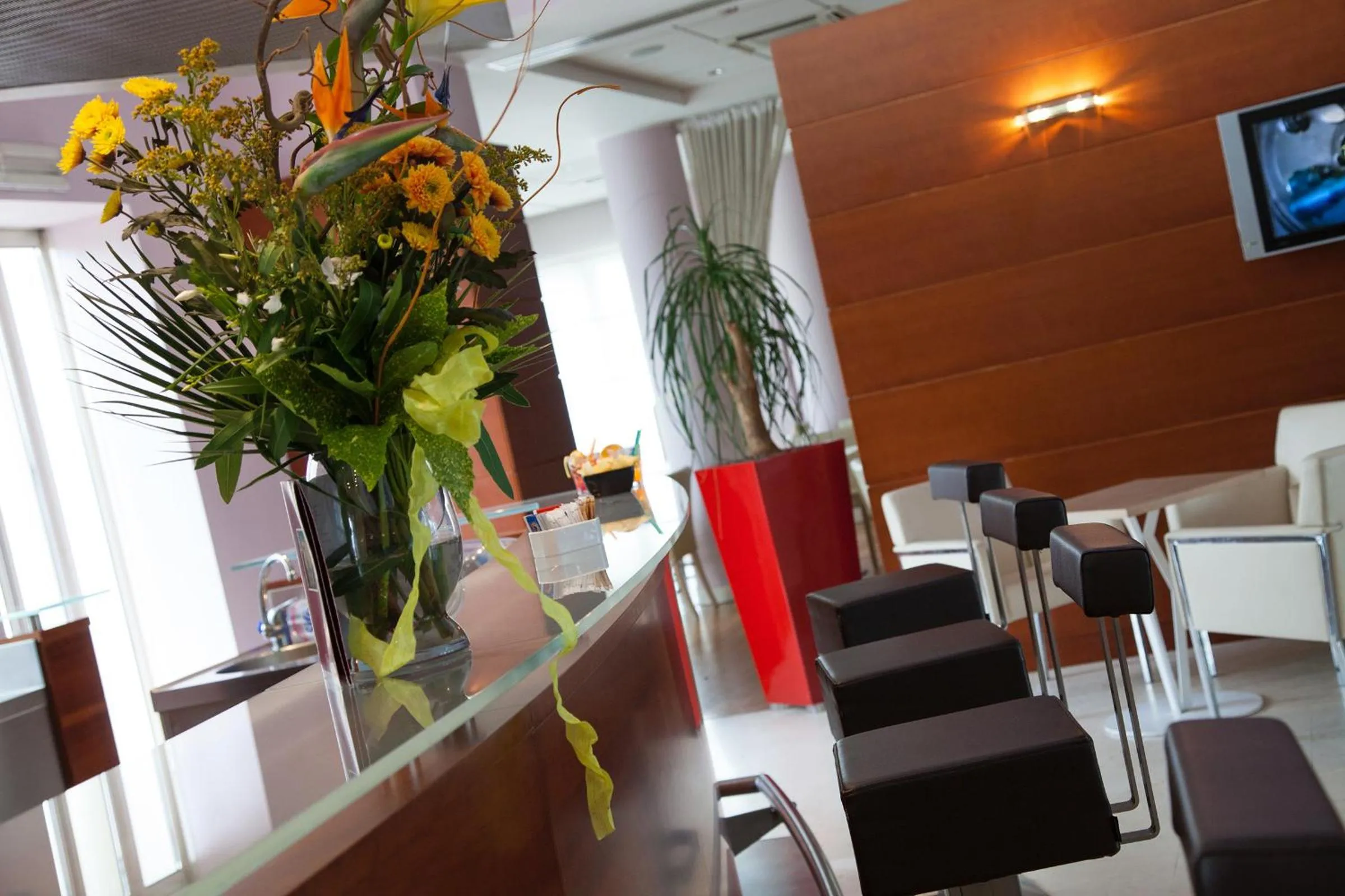 Lounge or bar in Hotel Rafael