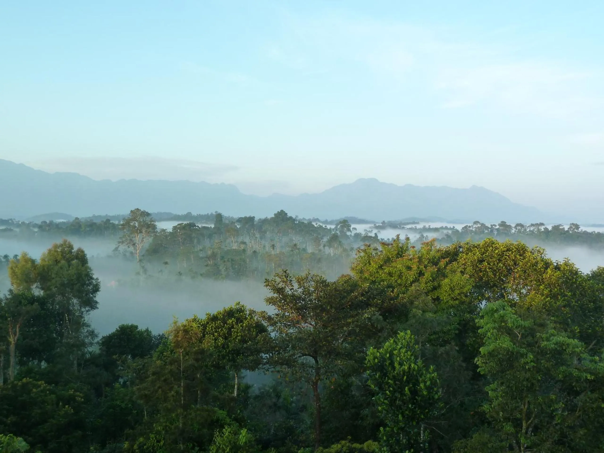 Other in Century Grand Hotel